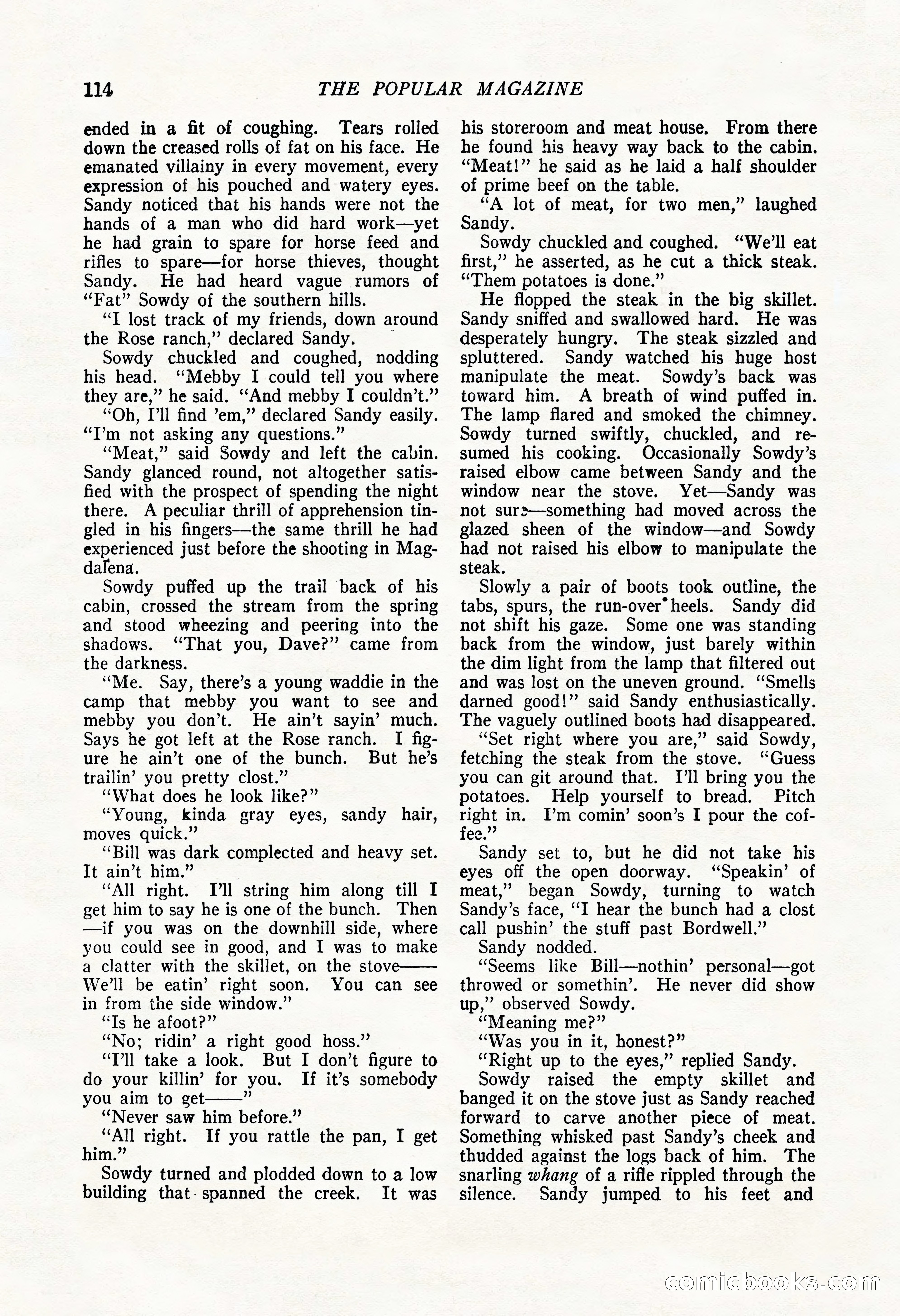 The Popular Magazine, May 20, 1922 — page 116 of 196