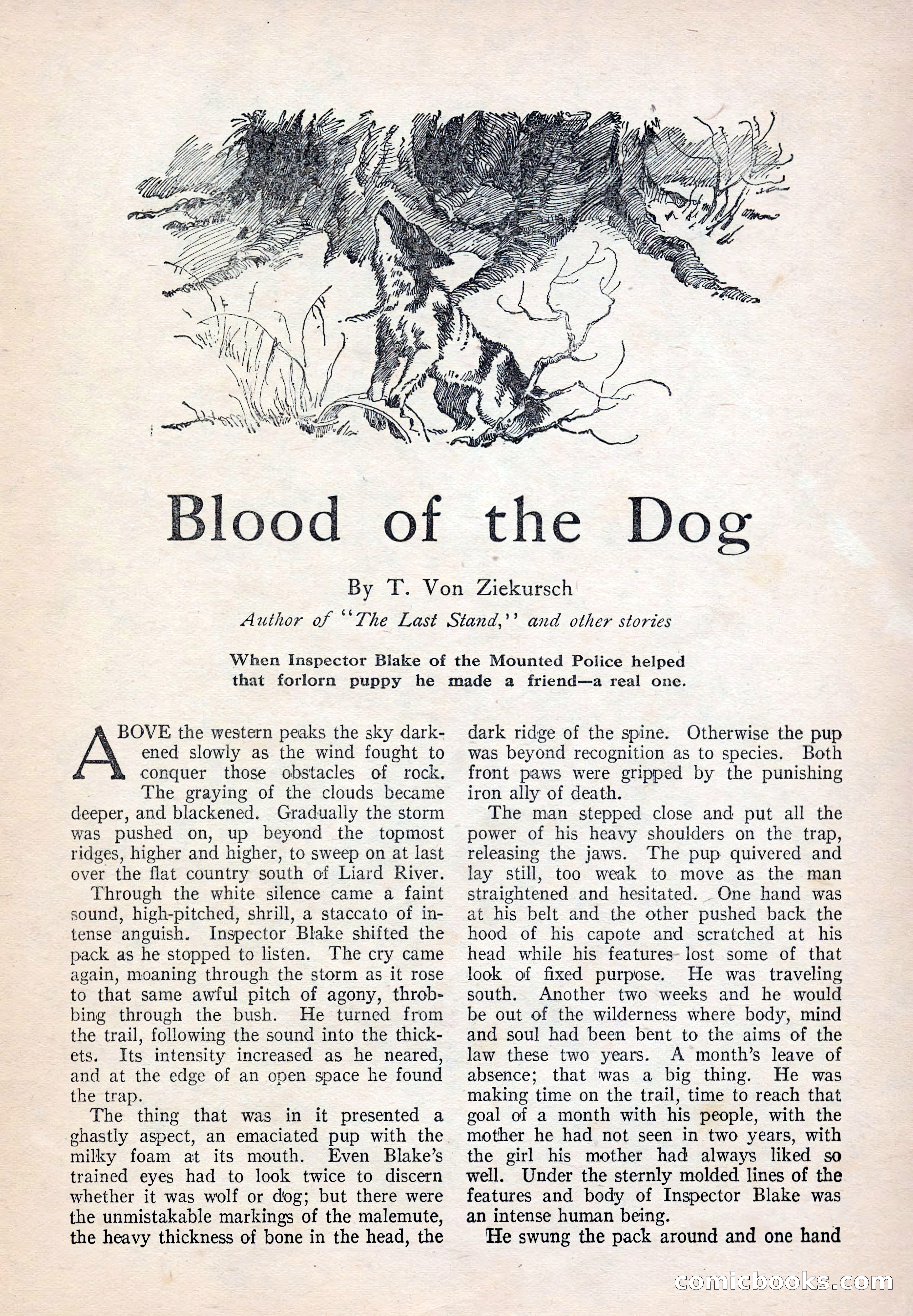The Popular Magazine, September 20, 1922 — page 187 of 195