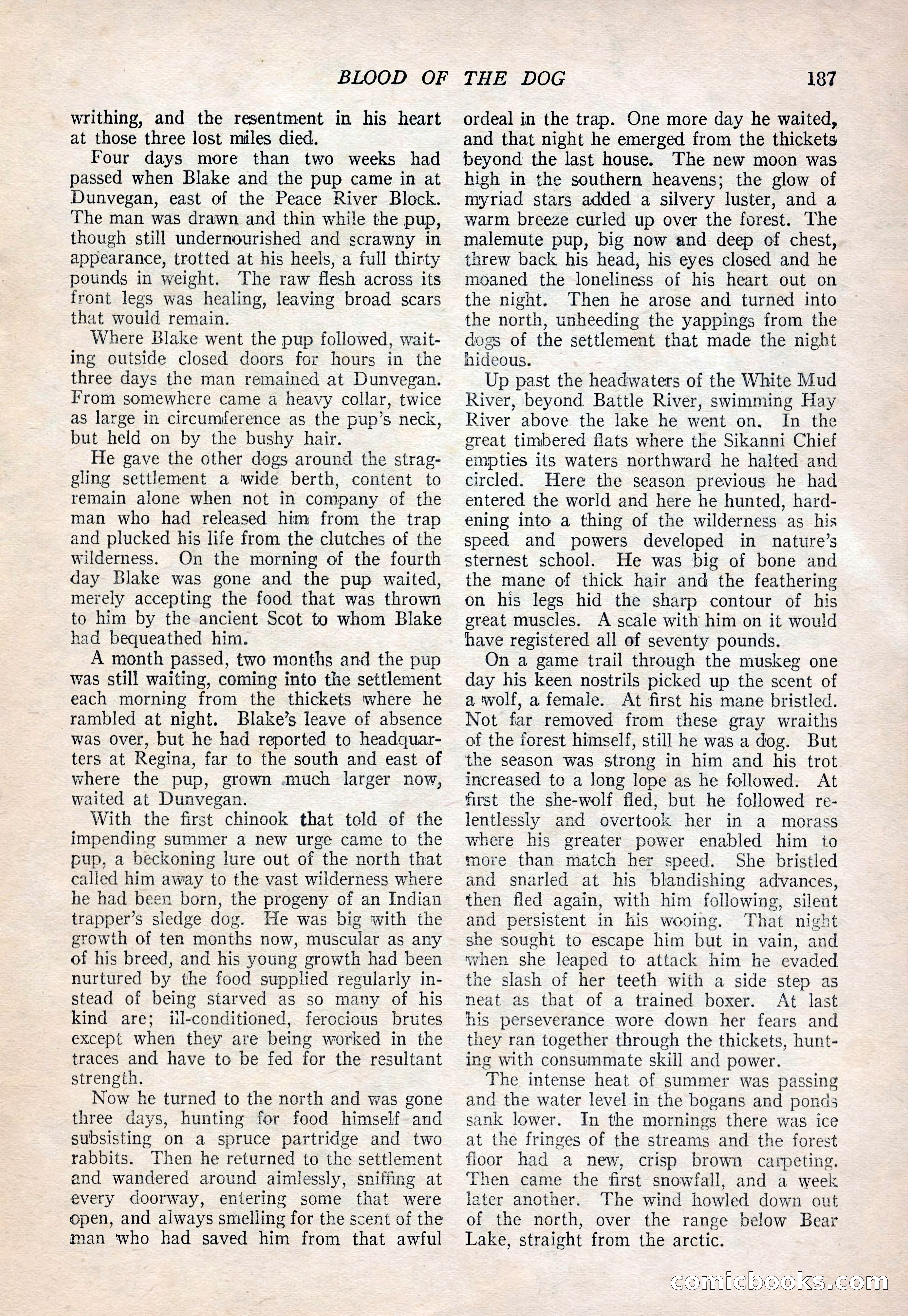 The Popular Magazine, September 20, 1922 — page 189 of 195