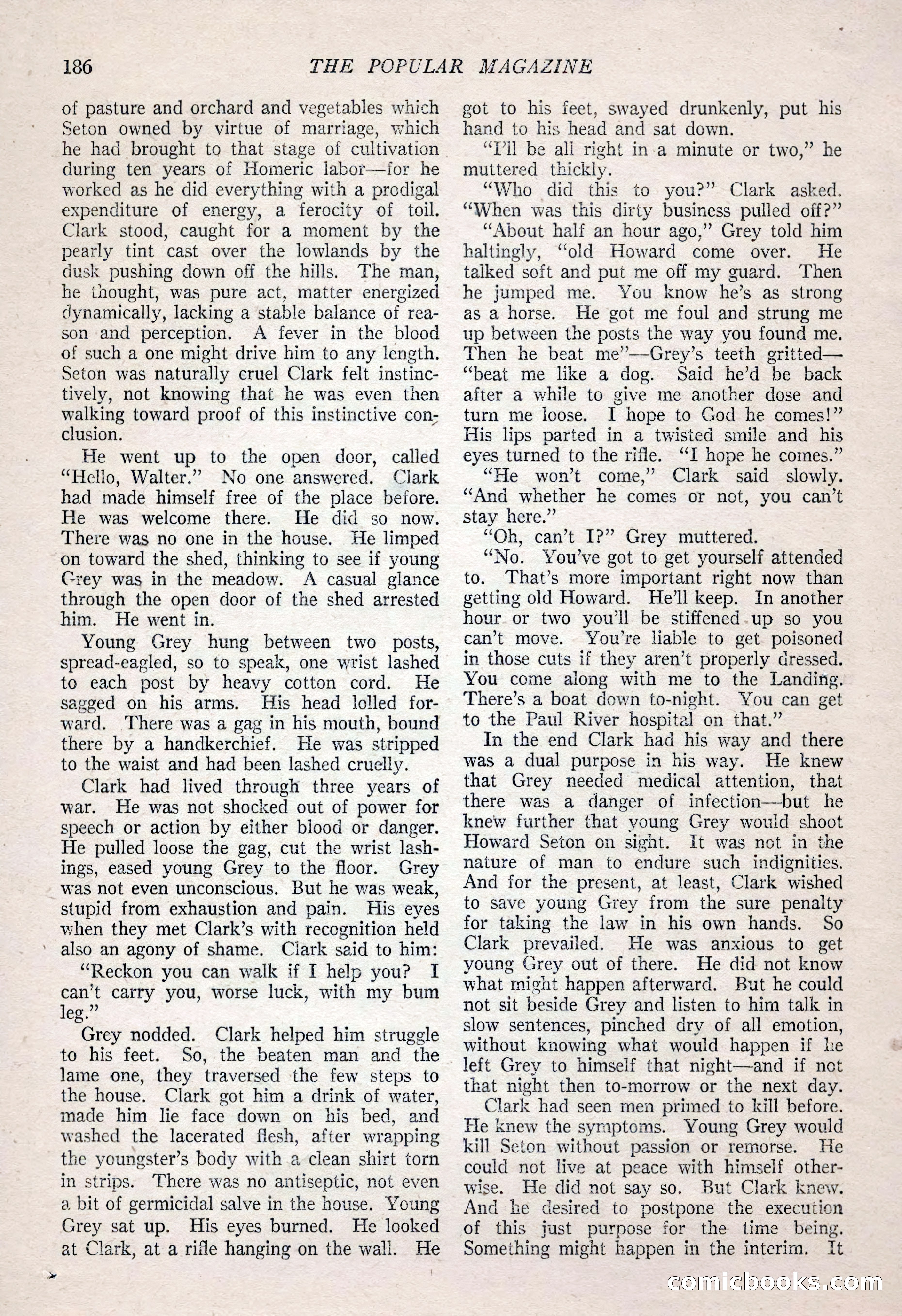 The Popular Magazine — page 196 of 212