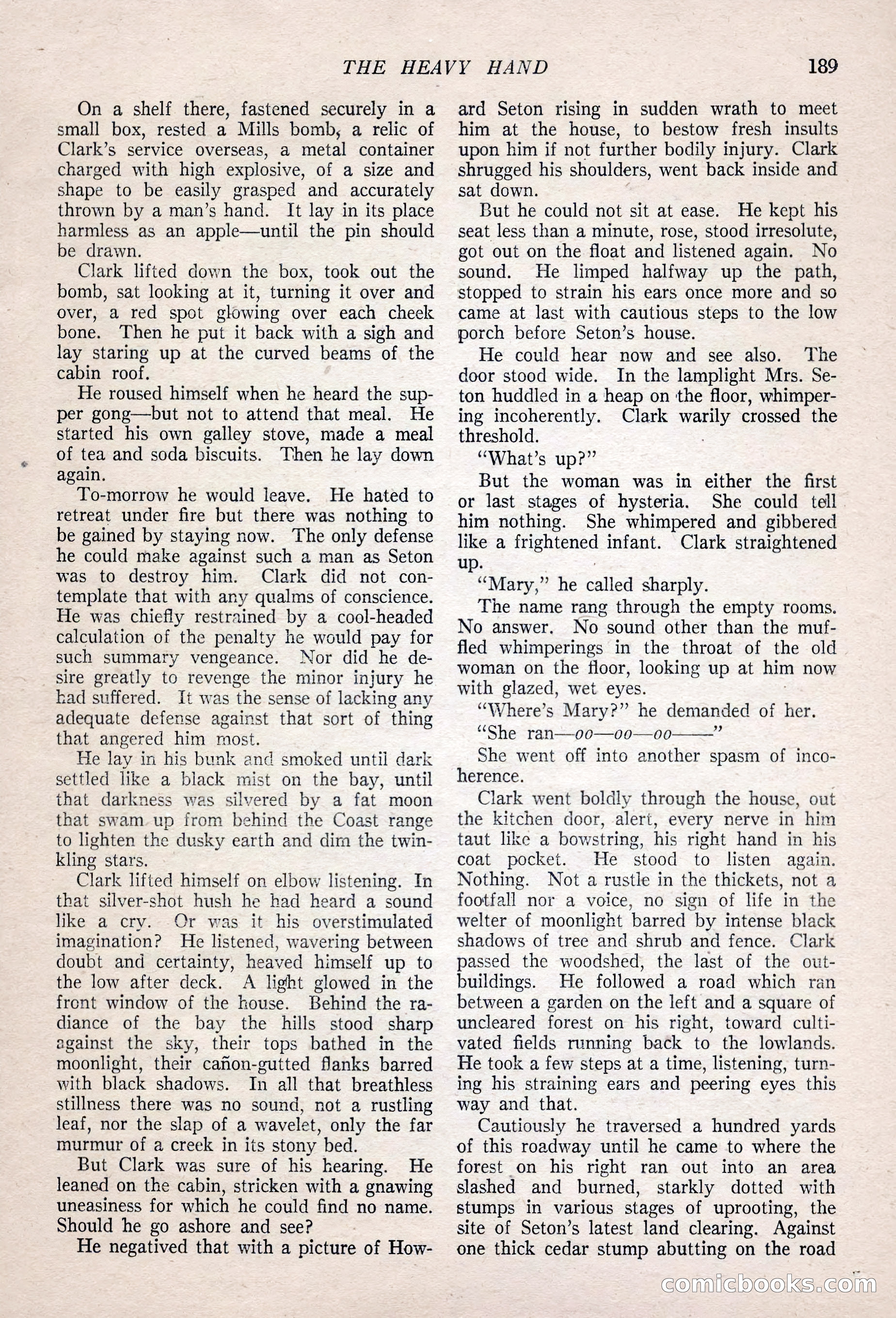 The Popular Magazine — page 199 of 212