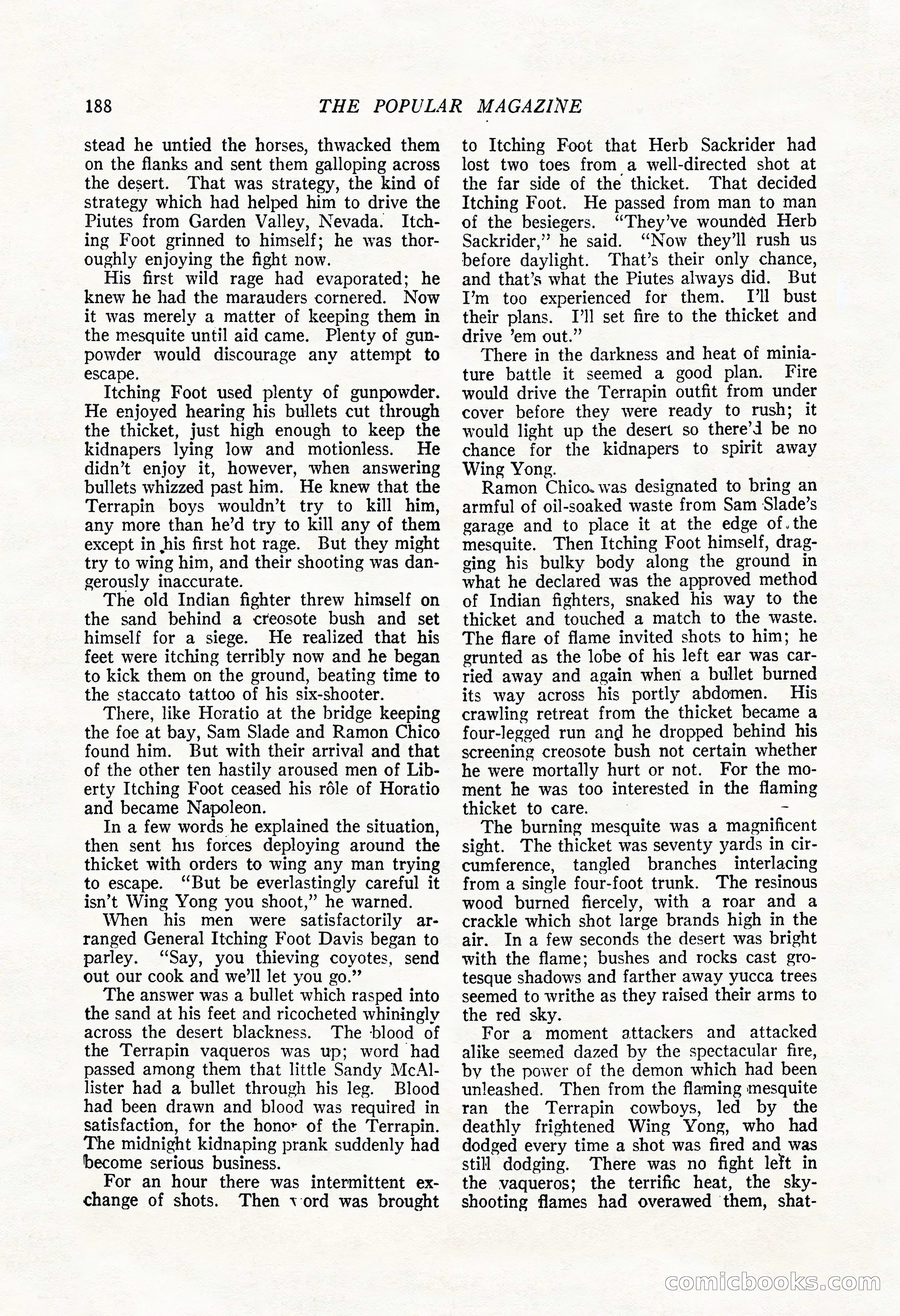 The Popular Magazine — page 206 of 220