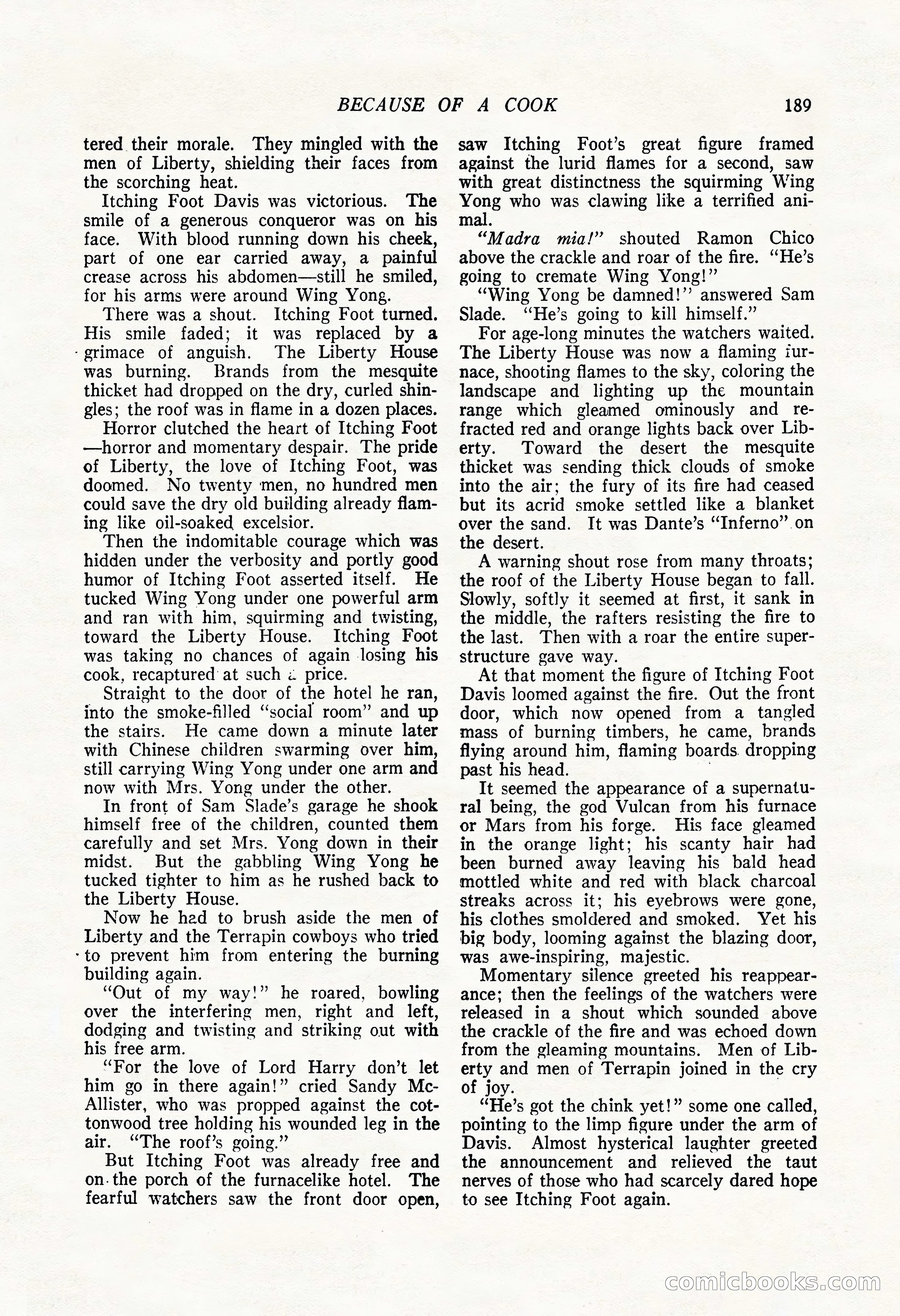 The Popular Magazine — page 207 of 220