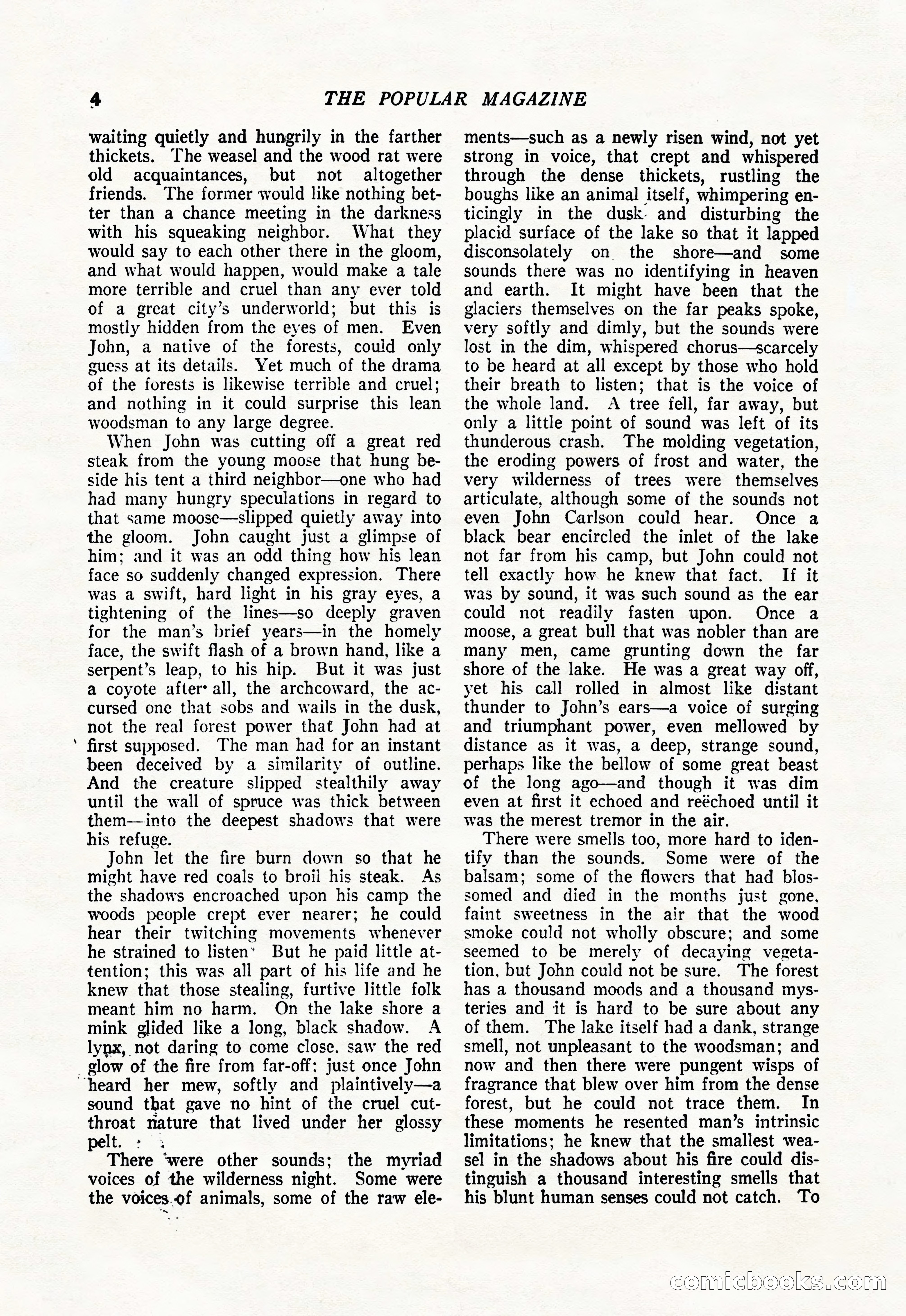 The Popular Magazine — page 6 of 196