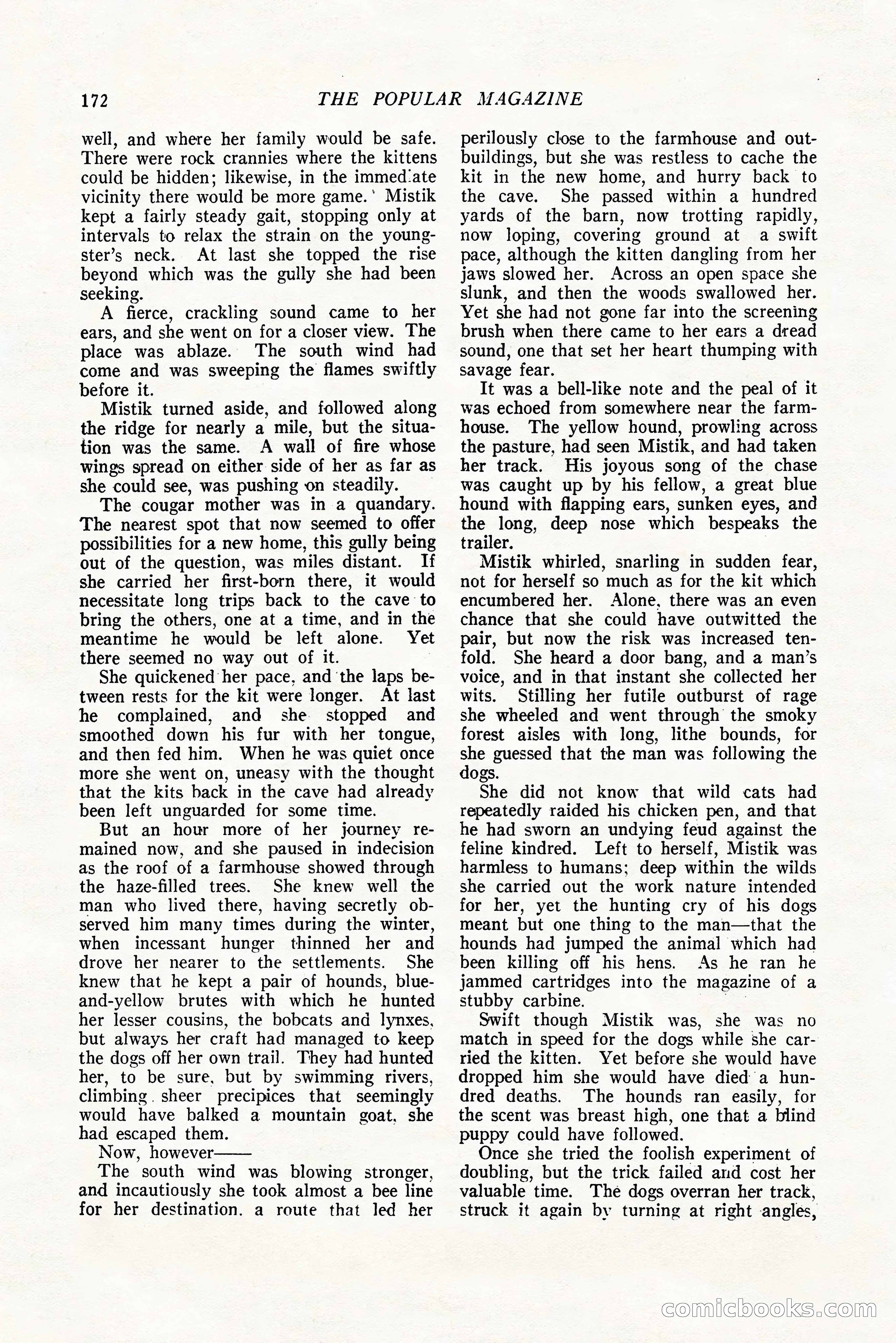 The Popular Magazine, October 20, 1924 — page 174 of 196