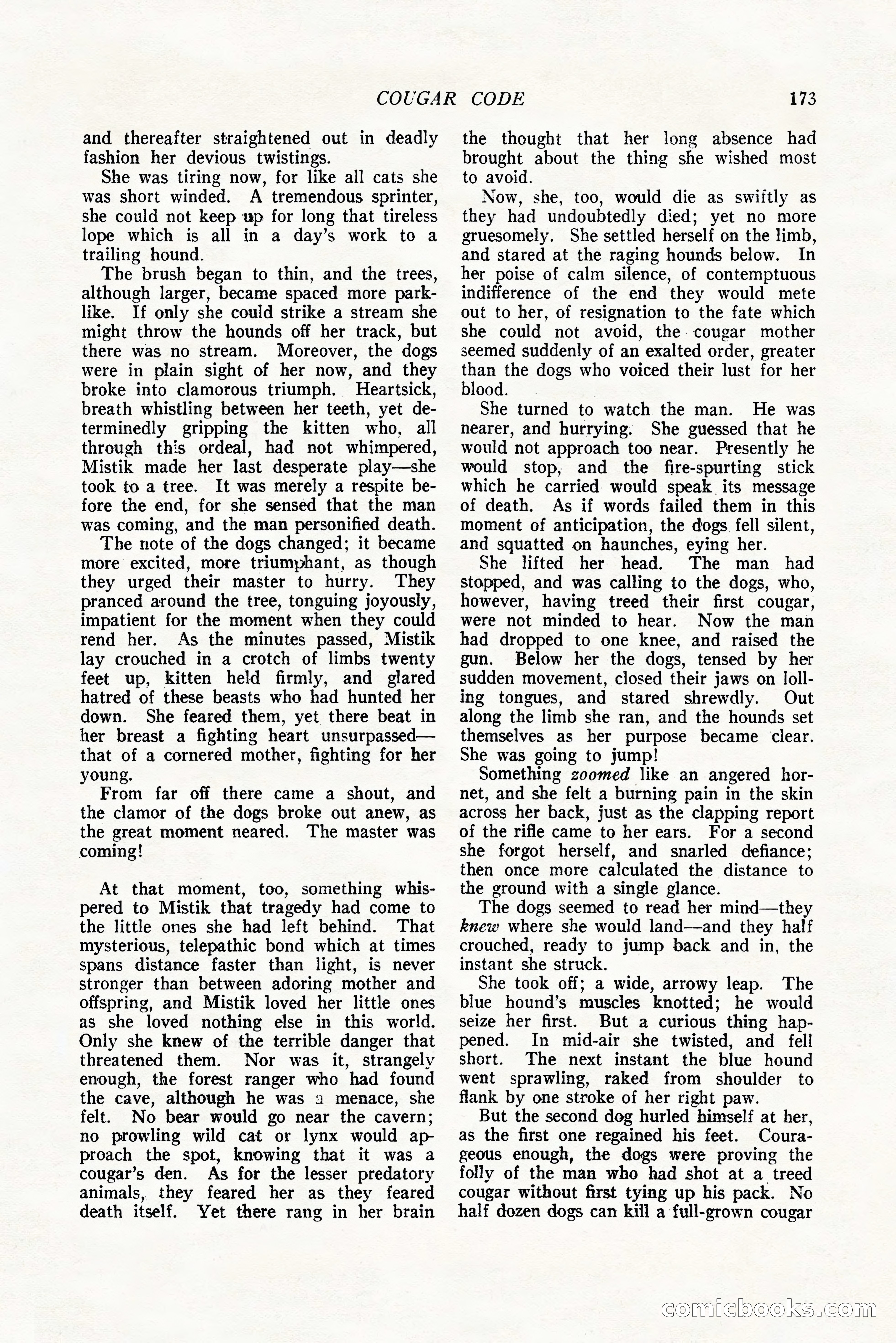 The Popular Magazine, October 20, 1924 — page 175 of 196