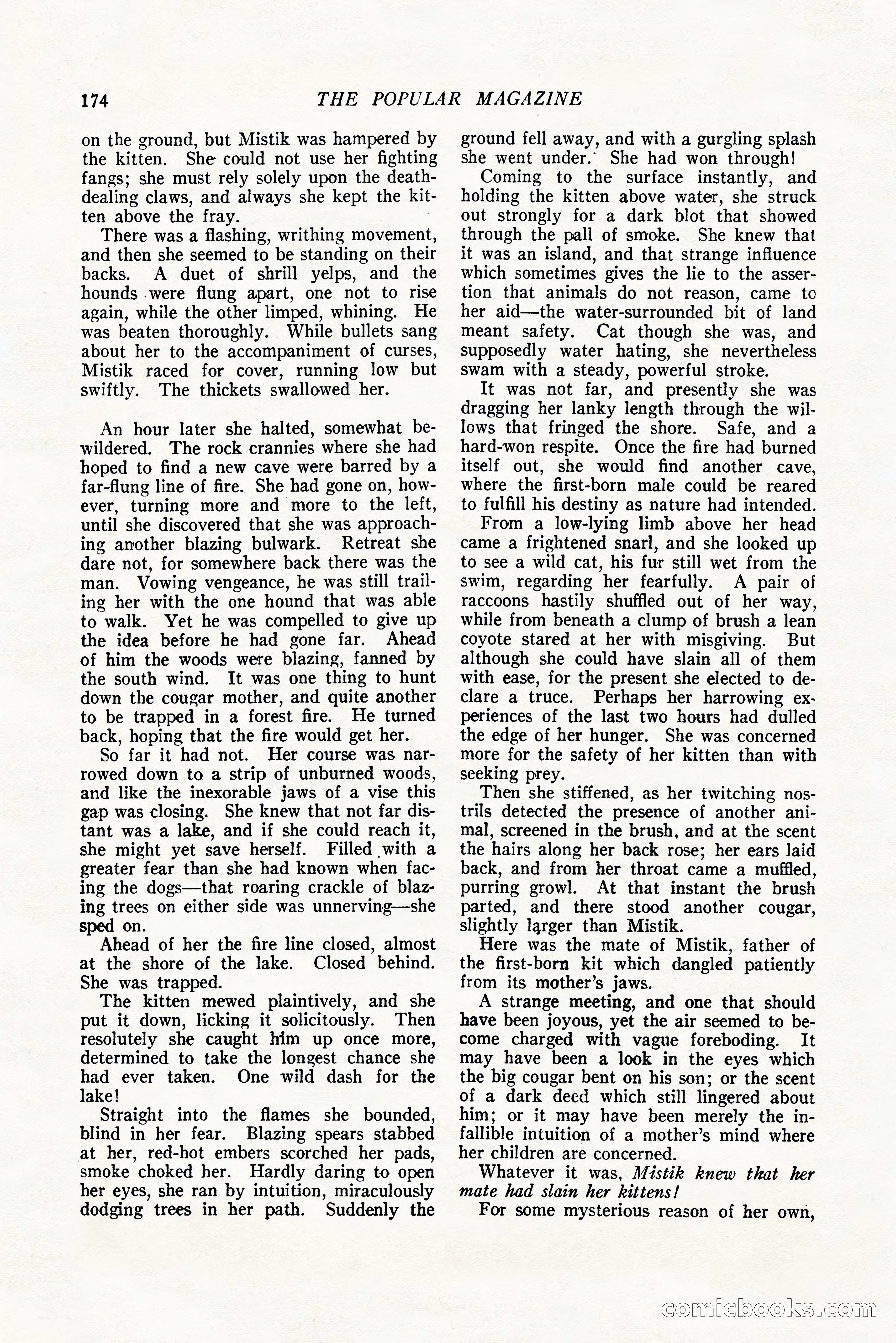 The Popular Magazine, October 20, 1924 — page 176 of 196