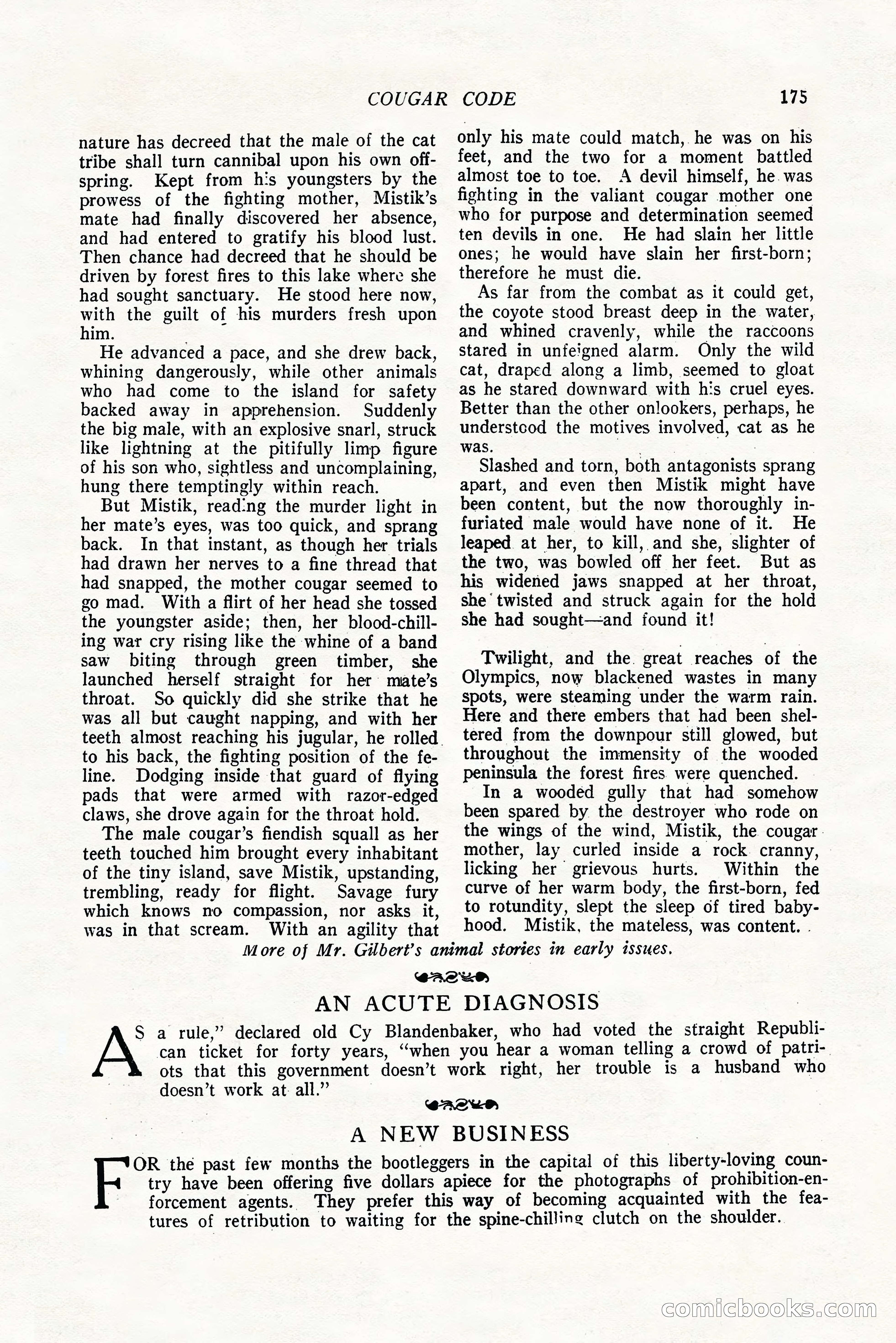 The Popular Magazine, October 20, 1924 — page 177 of 196
