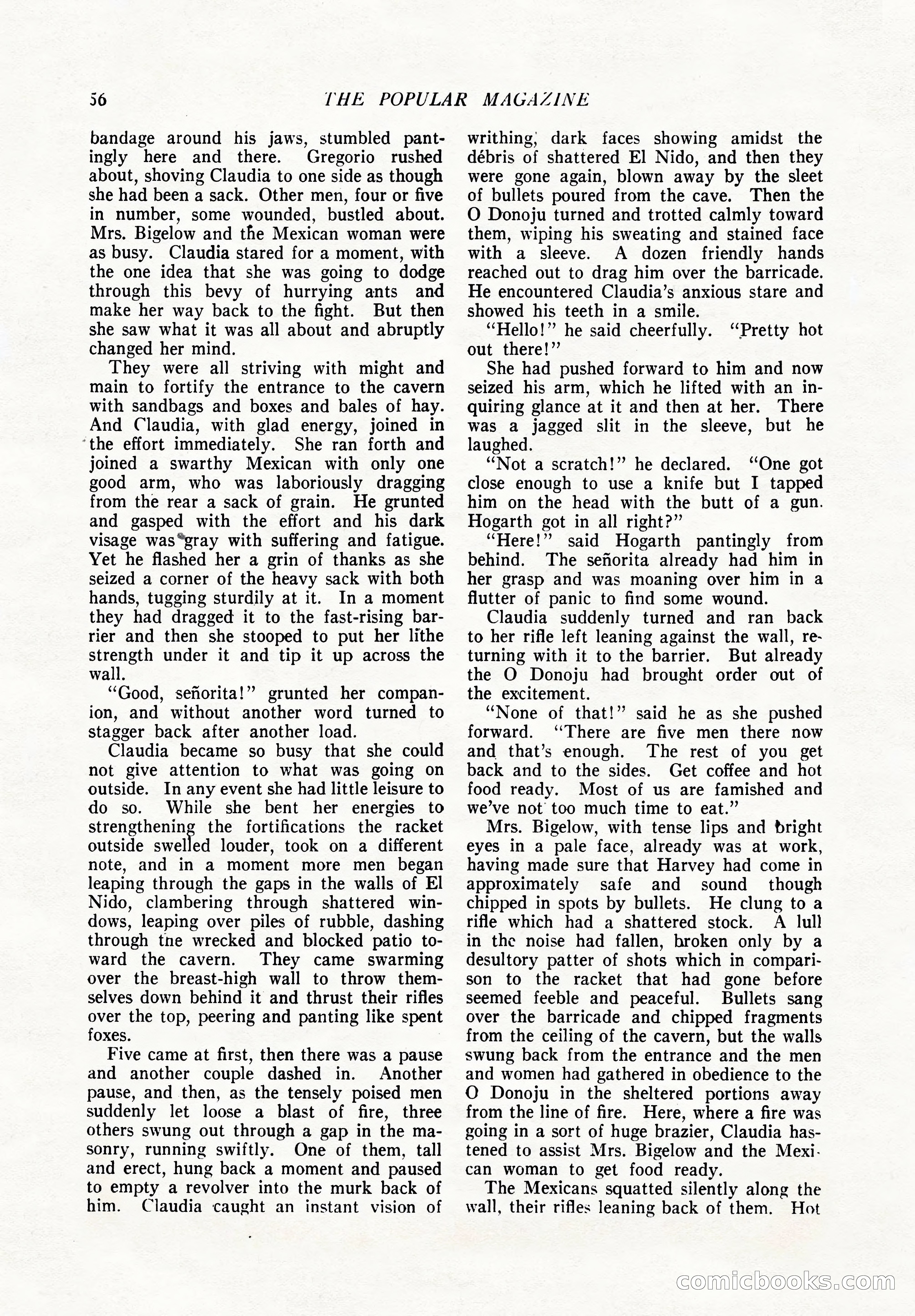 The Popular Magazine, December 7, 1924 — page 74 of 228