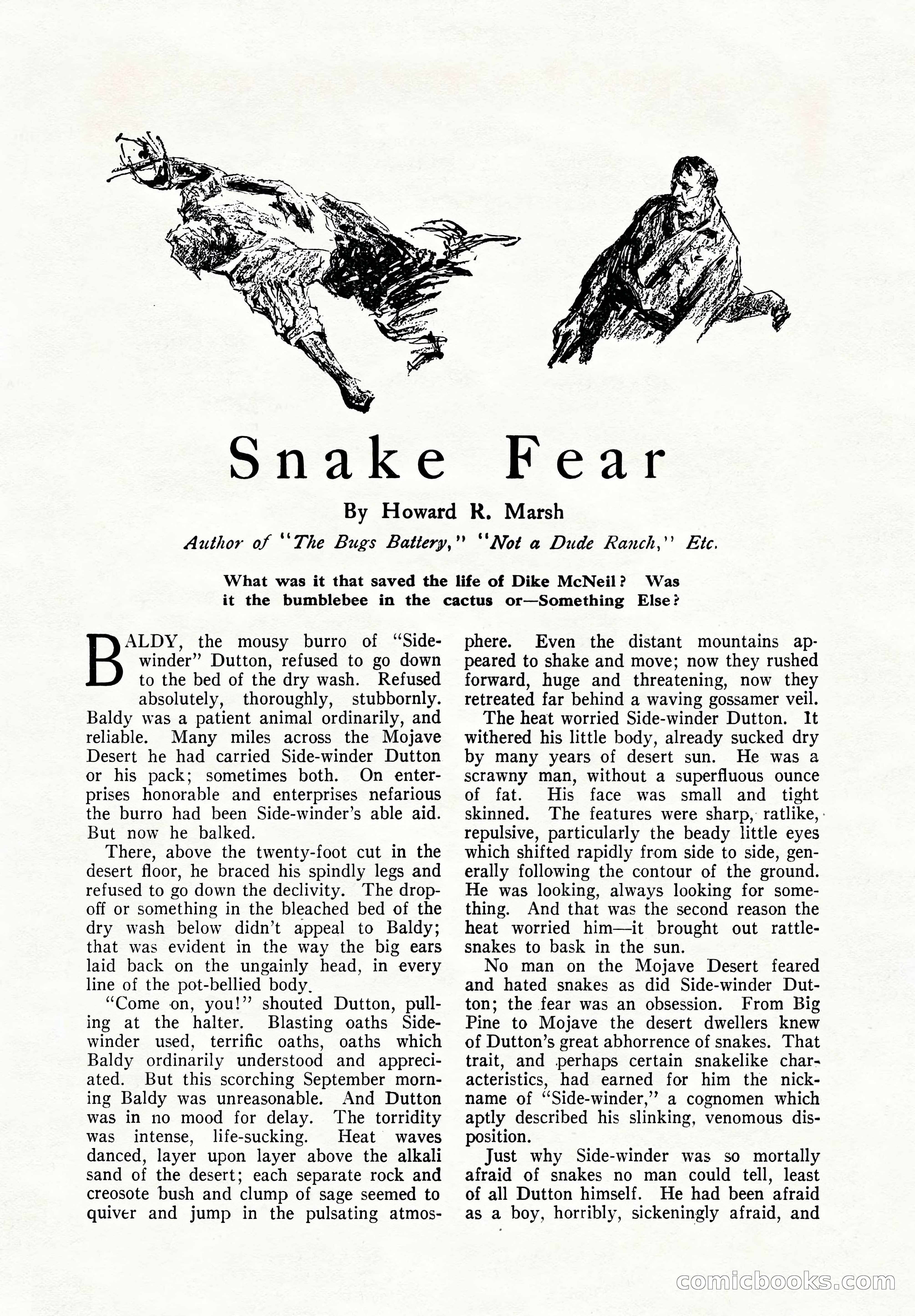 The Popular Magazine, December 7, 1924 — page 121 of 228
