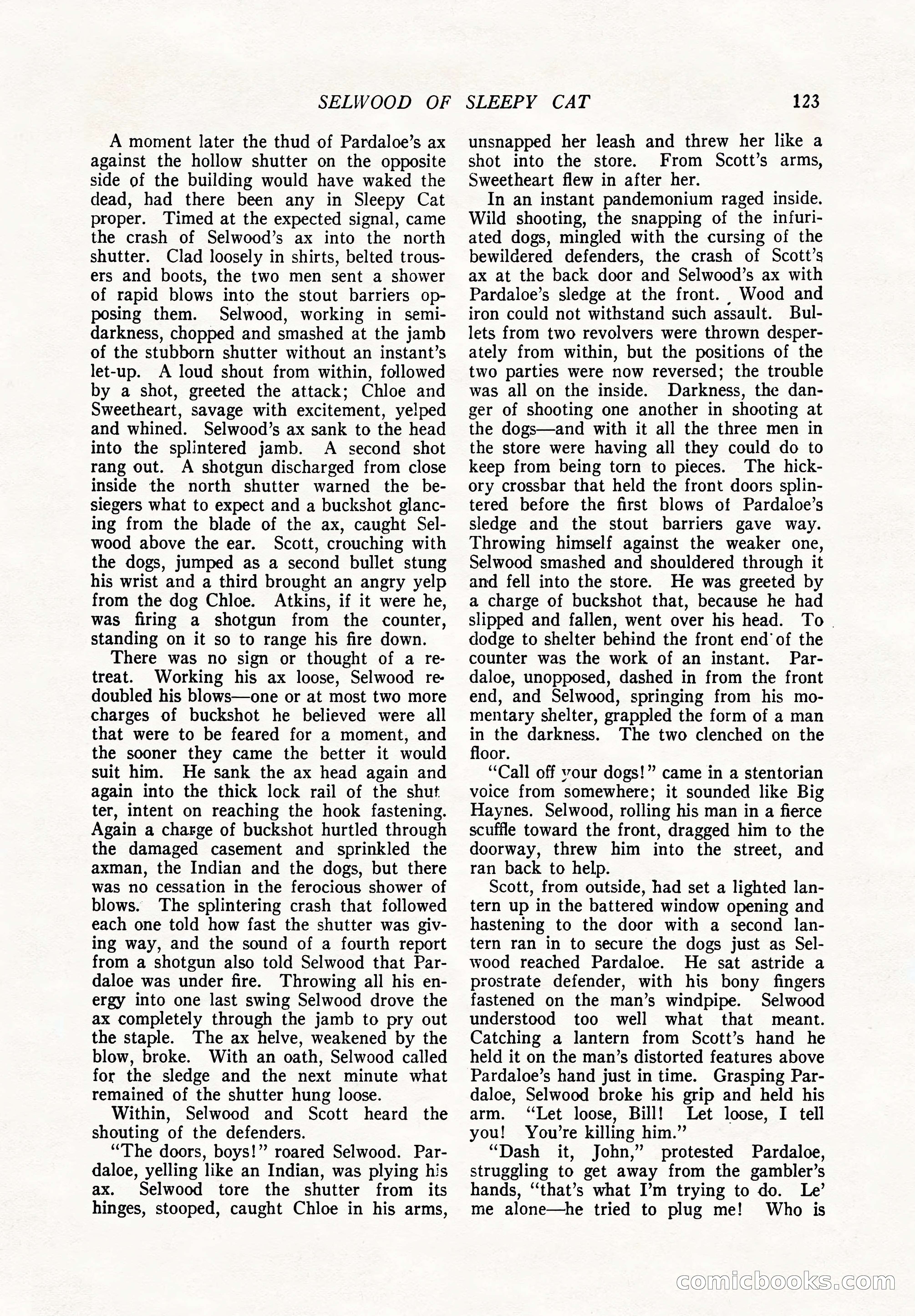 The Popular Magazine, December 7, 1924 — page 141 of 228