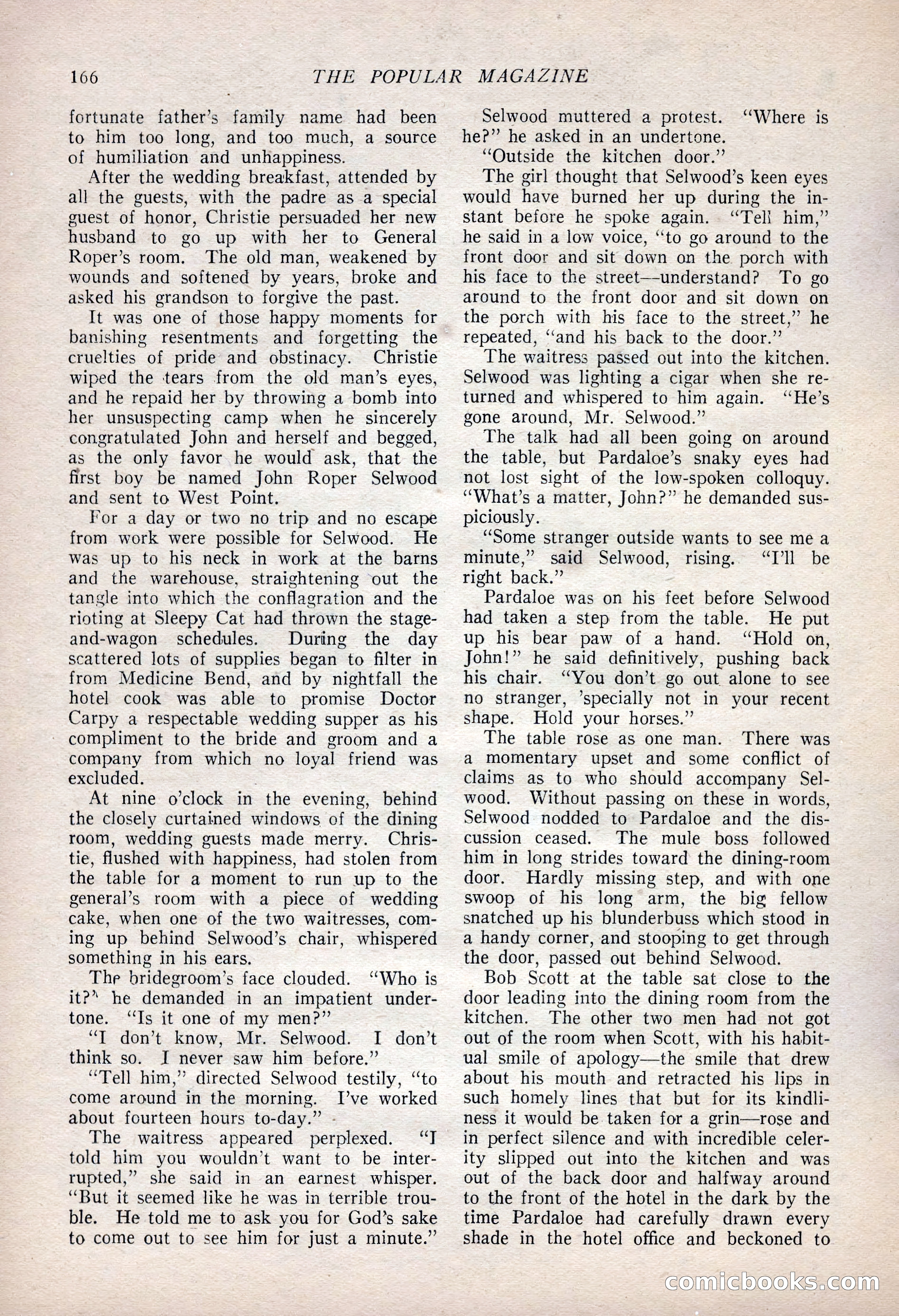The Popular Magazine, January 7, 1925 — page 176 of 212