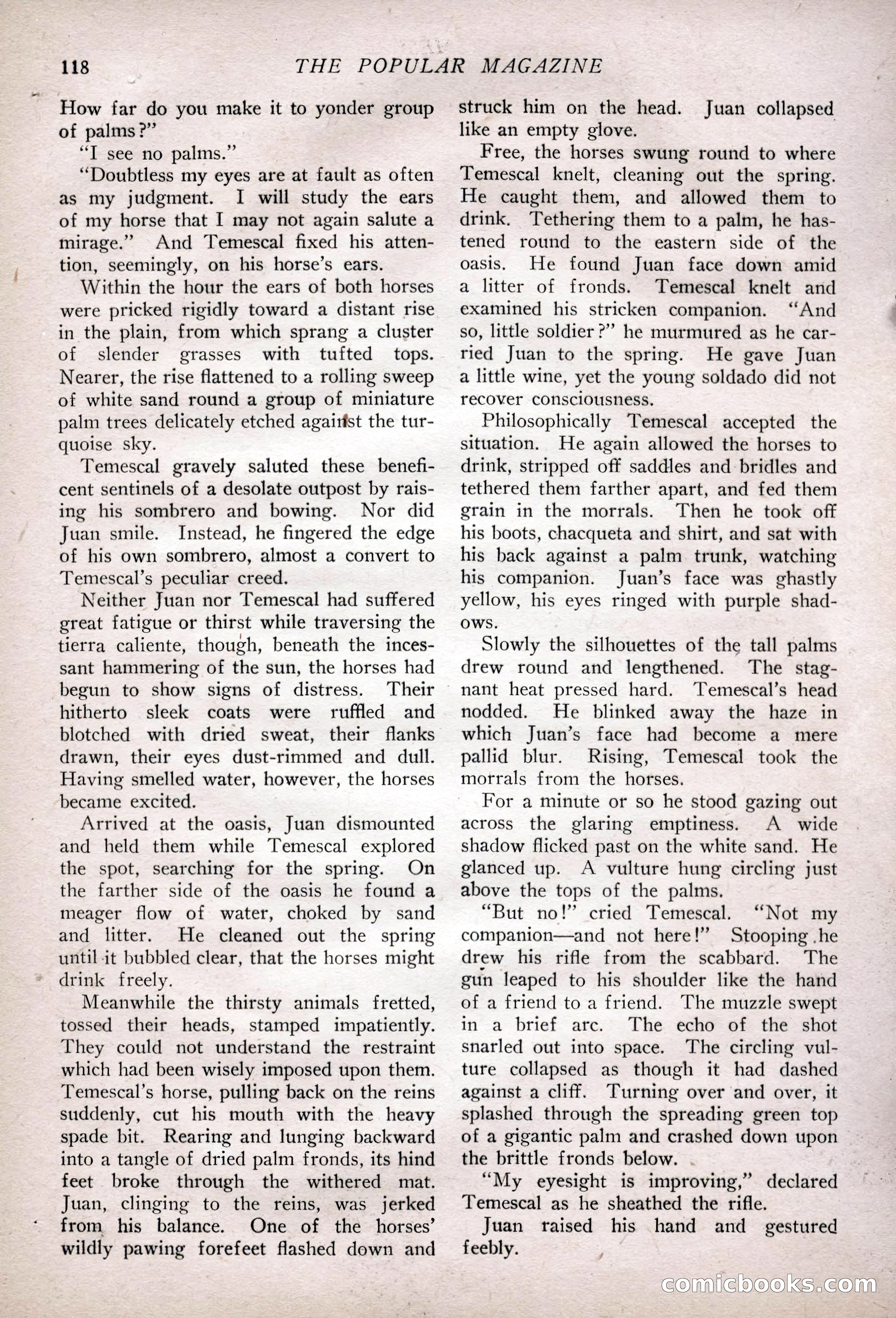The Popular Magazine, February 7, 1925 — page 136 of 220