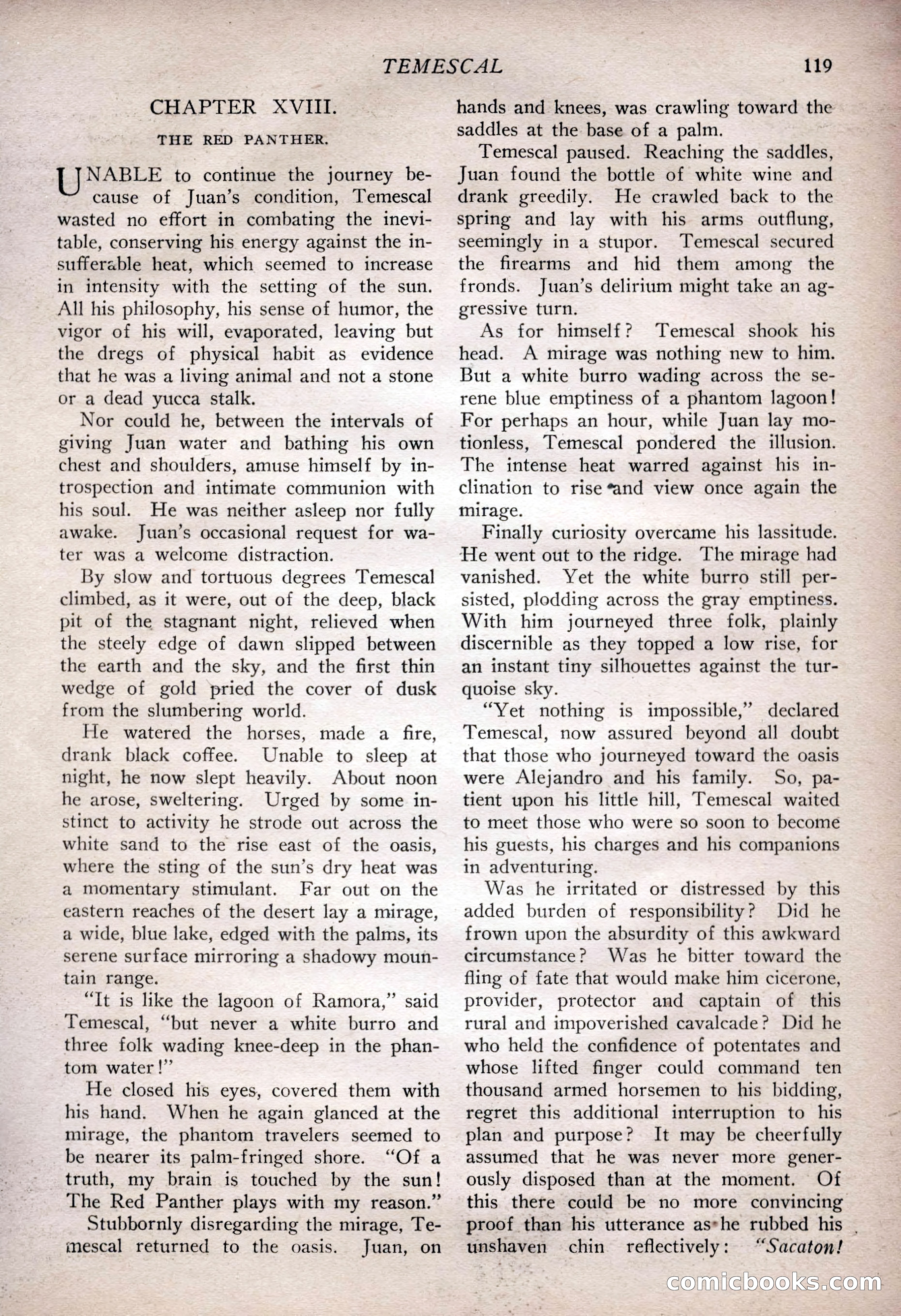 The Popular Magazine, February 7, 1925 — page 137 of 220