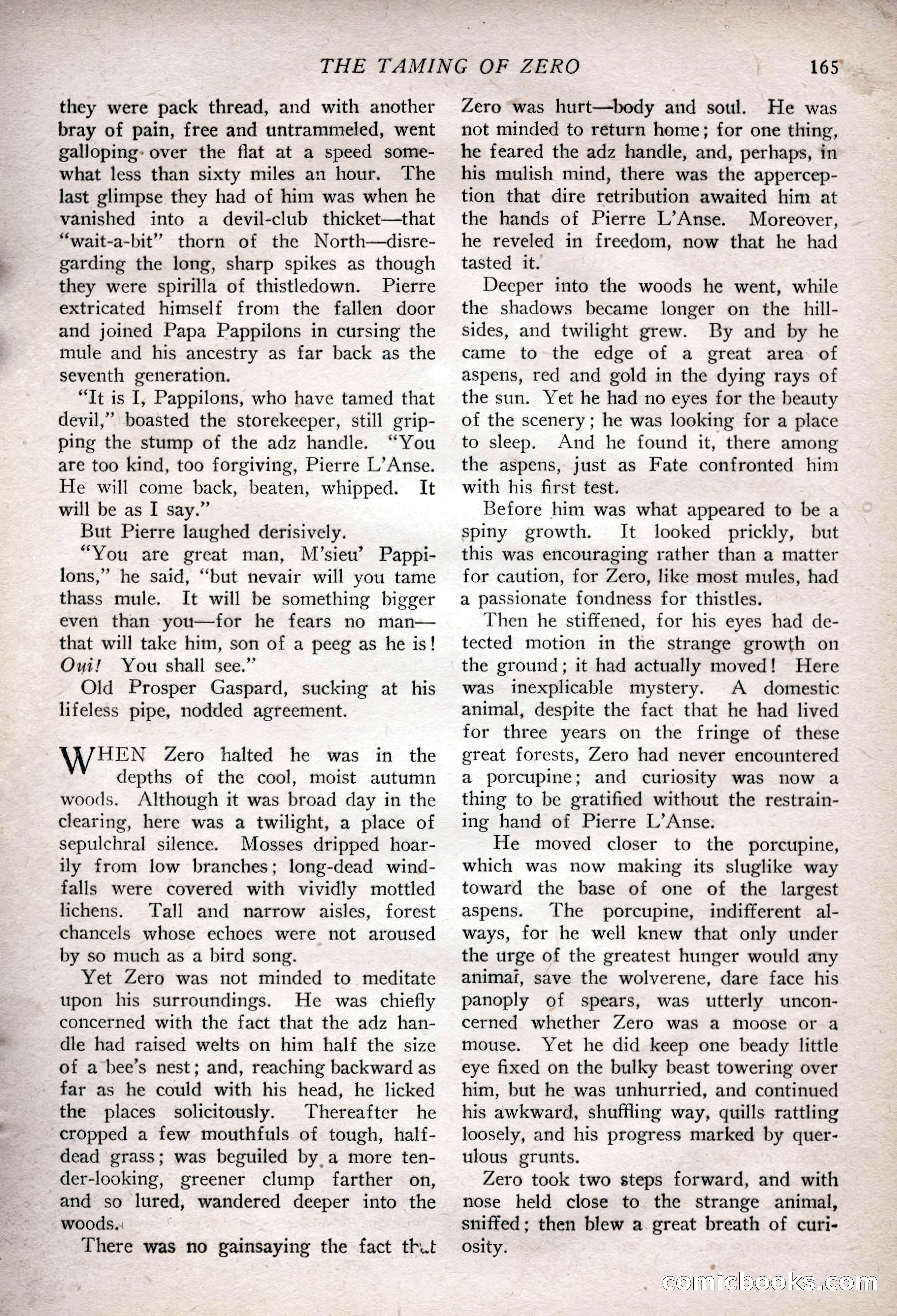 The Popular Magazine, February 7, 1925 — page 183 of 220