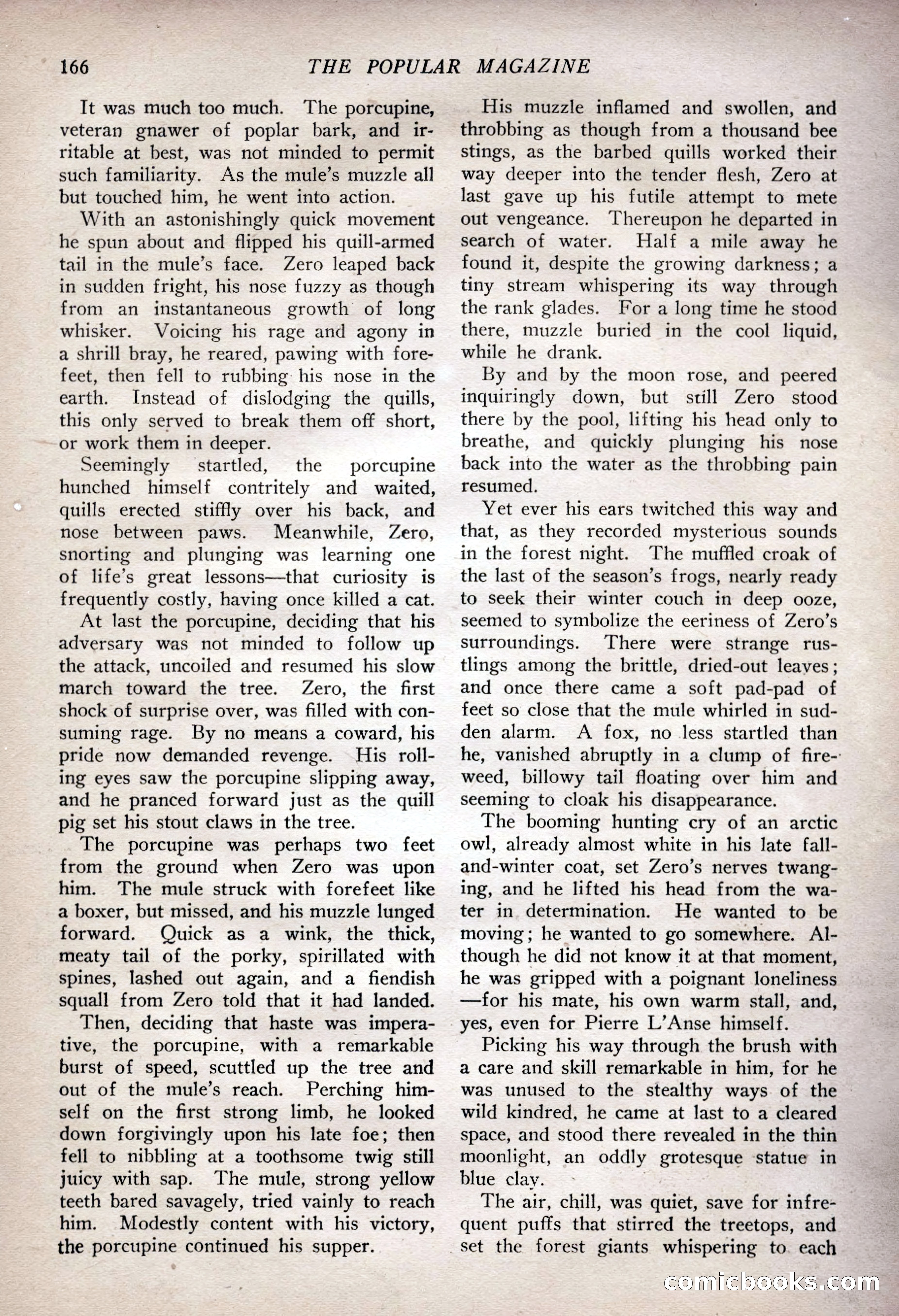 The Popular Magazine, February 7, 1925 — page 184 of 220