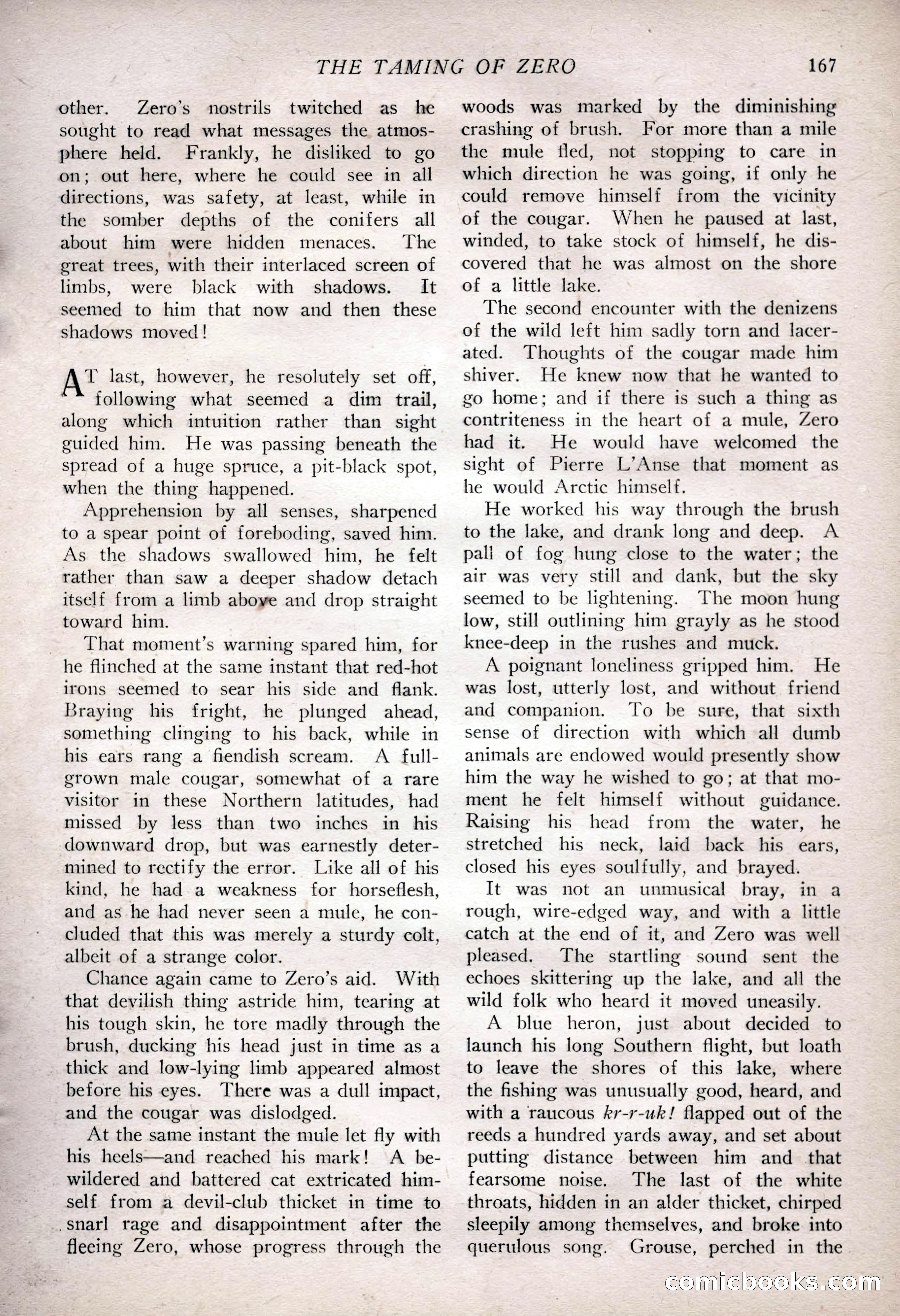The Popular Magazine, February 7, 1925 — page 185 of 220