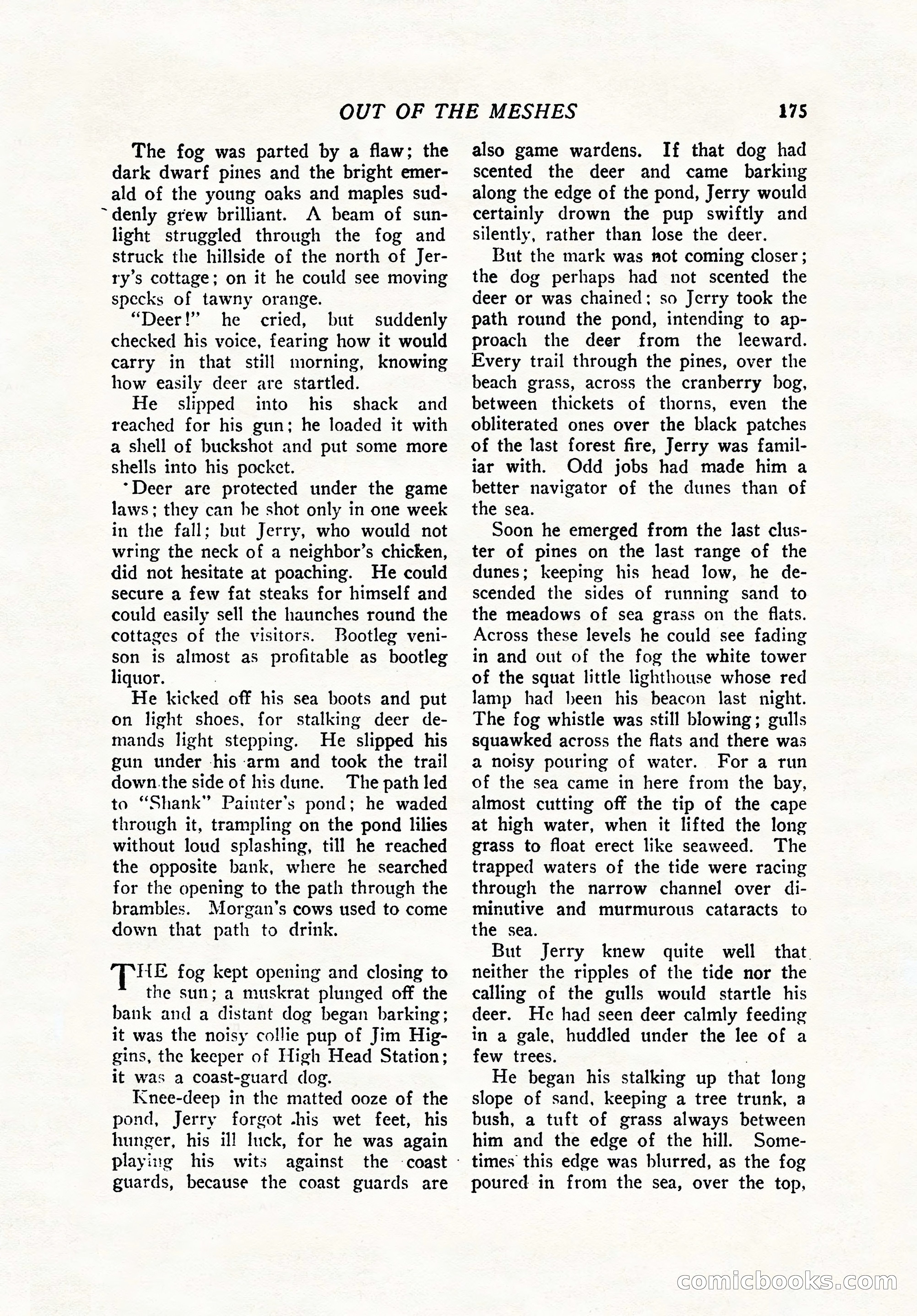 The Popular Magazine, Holiday Number — page 177 of 196