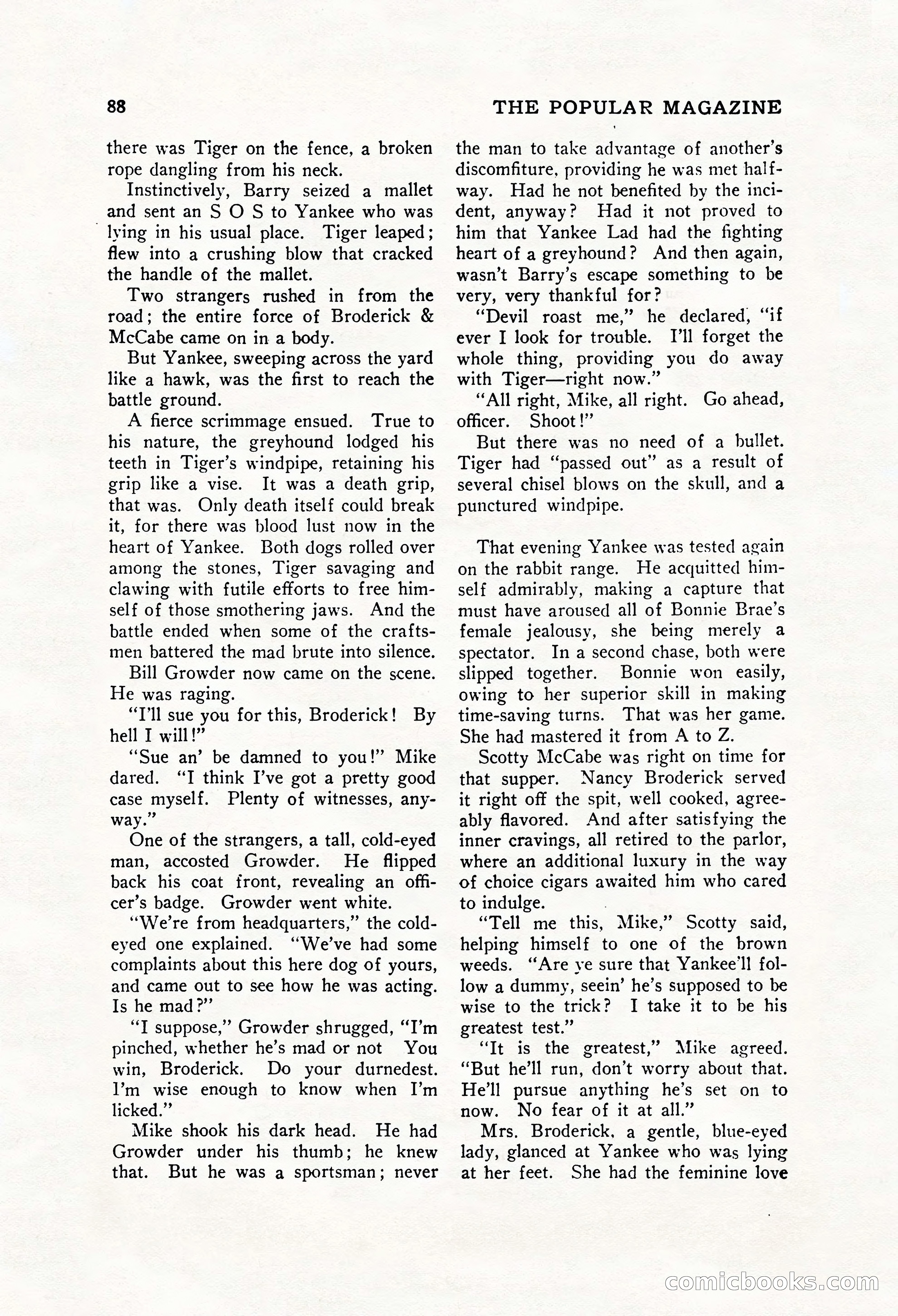 The Popular Magazine, December 20, 1928 — page 106 of 196