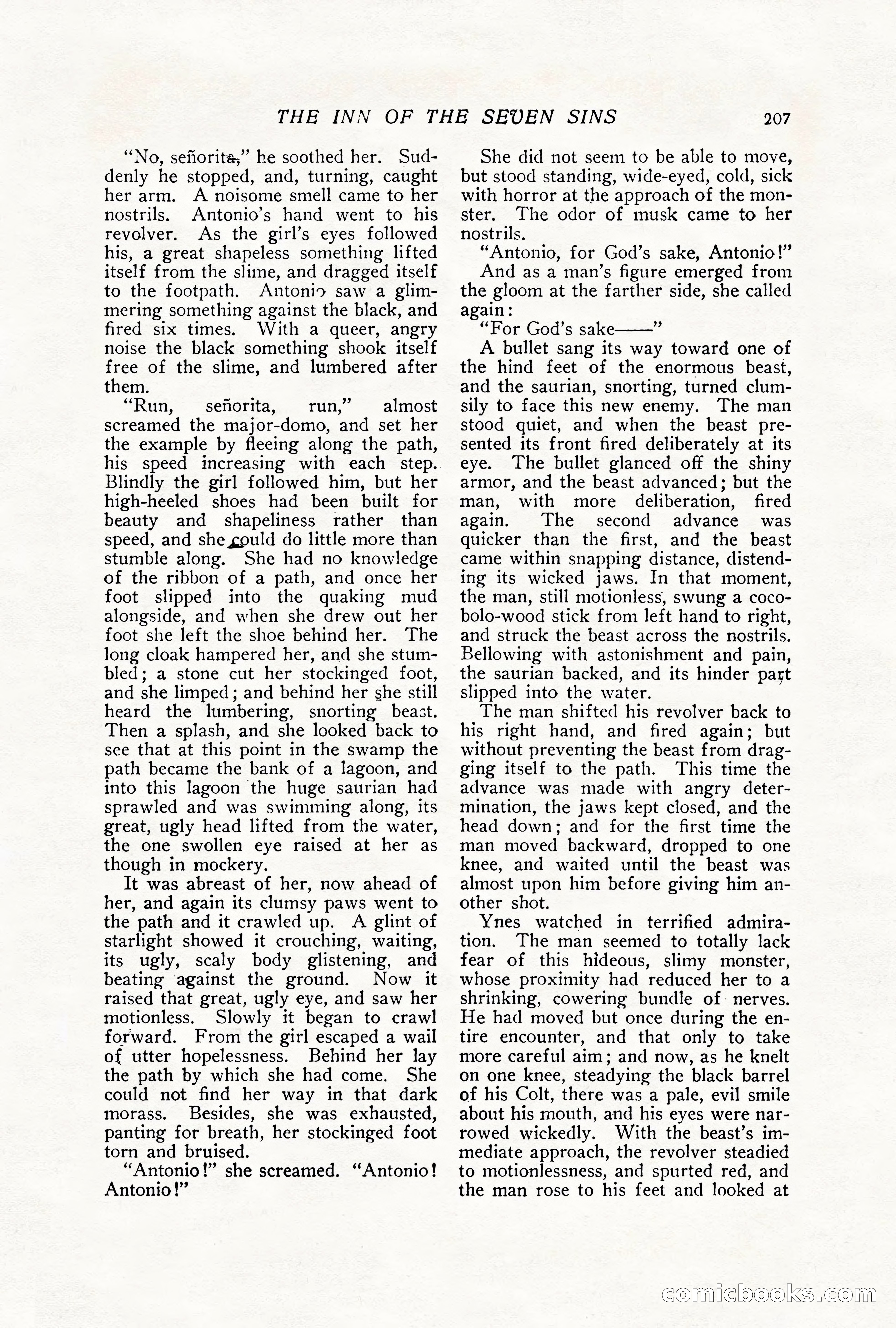 The Popular Magazine — page 217 of 256