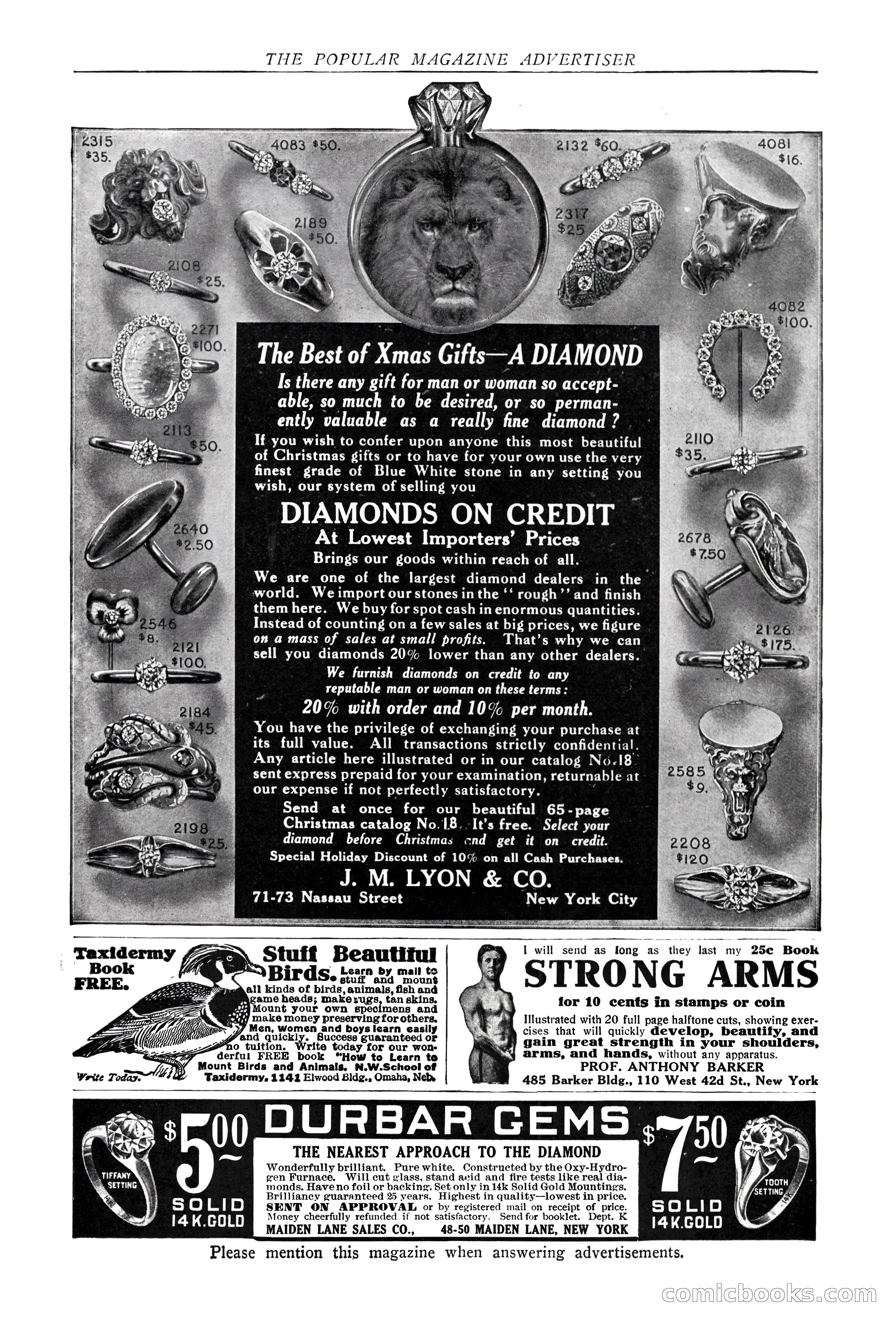 The Popular Magazine — page 249 of 256
