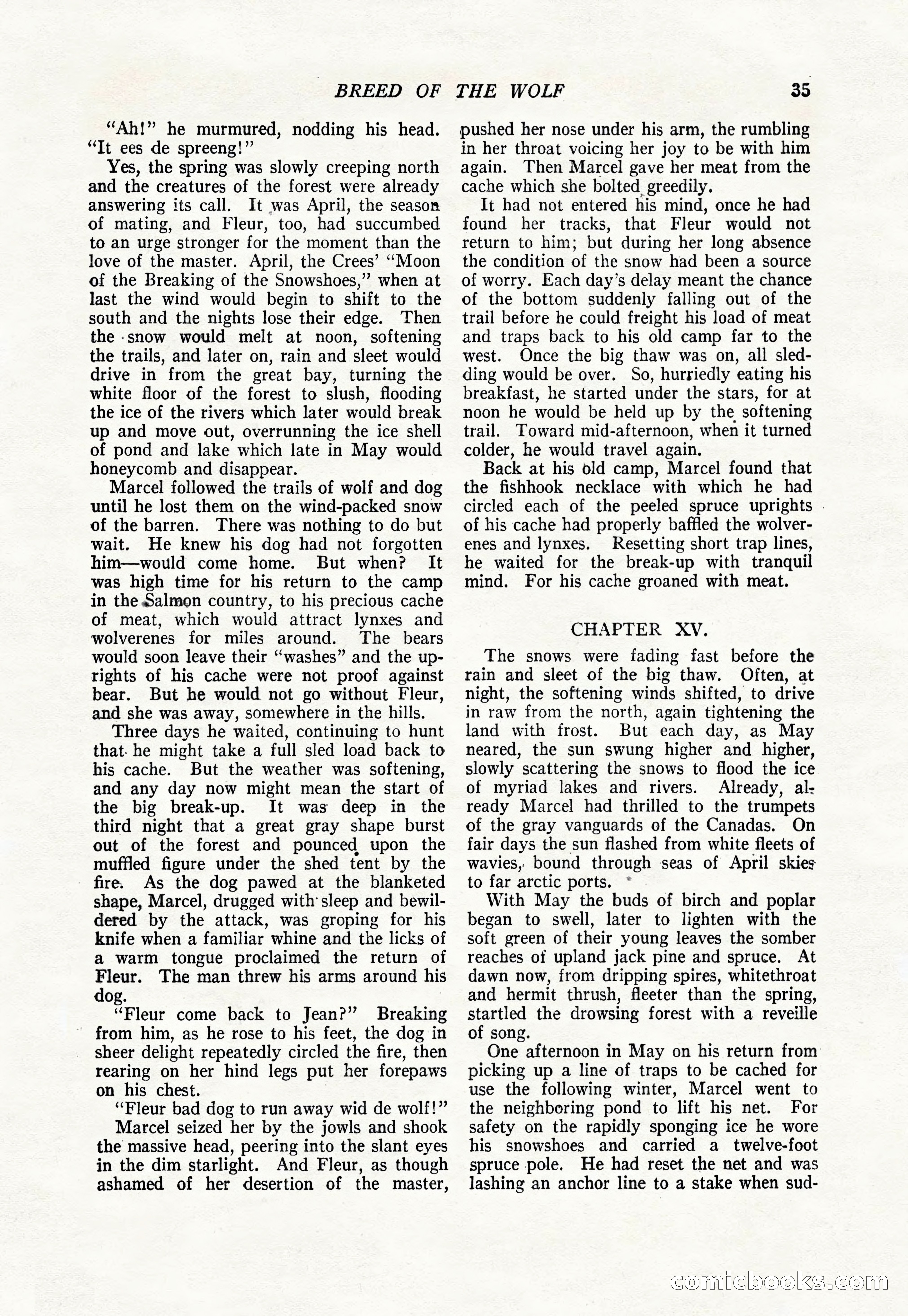 The Popular Magazine, January 1922 — page 37 of 196