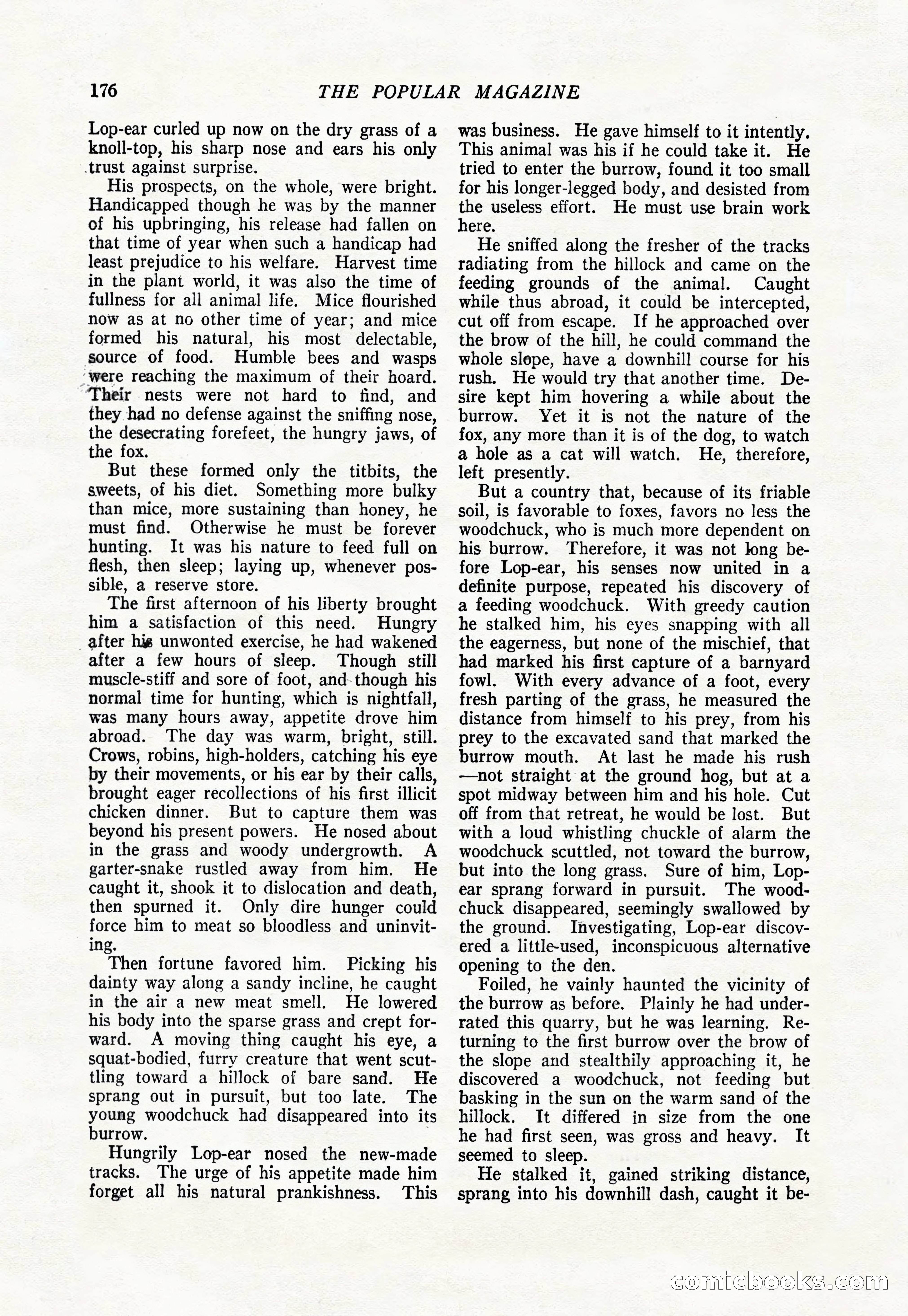 The Popular Magazine, January 1922 — page 178 of 196