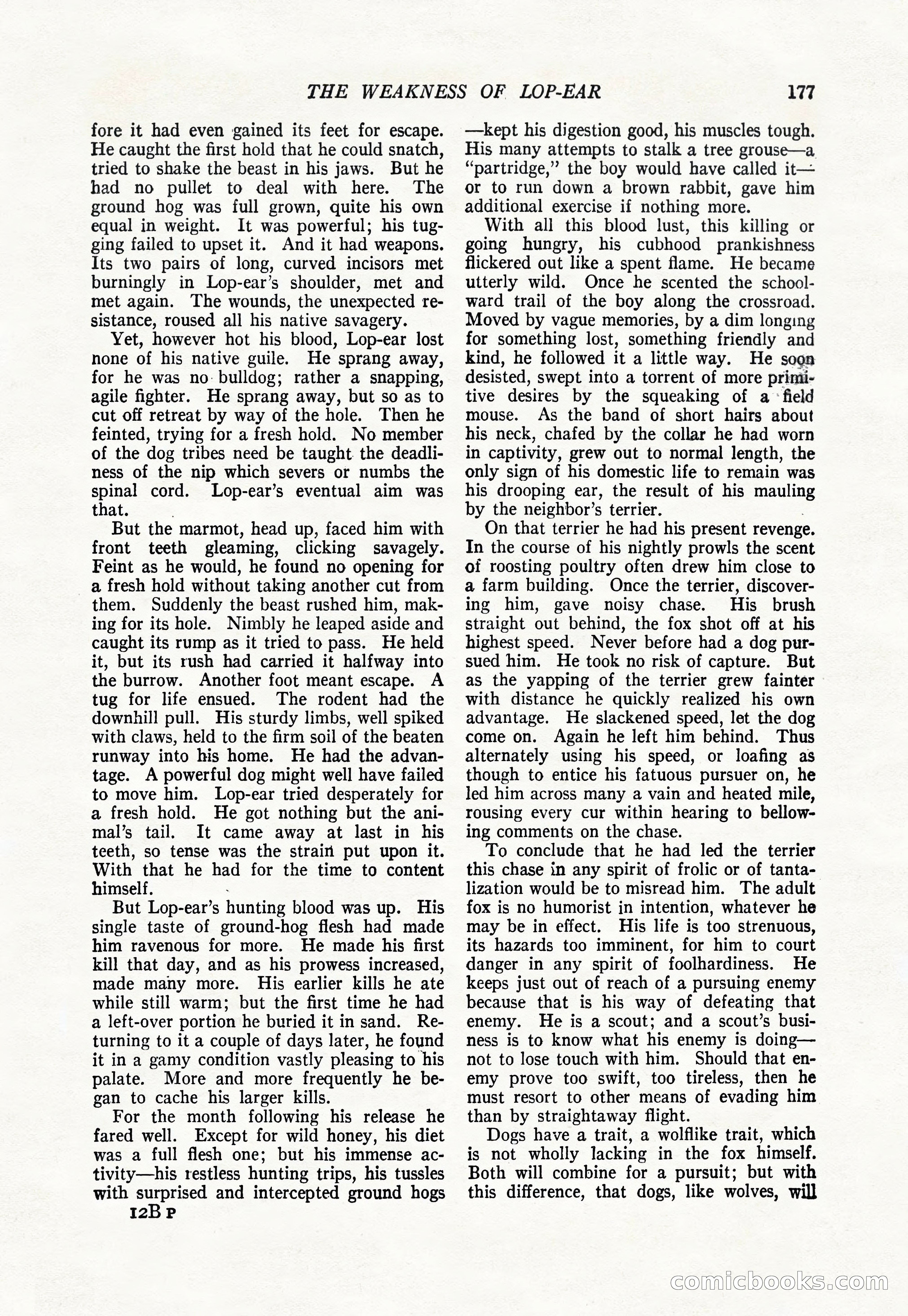 The Popular Magazine, January 1922 — page 179 of 196