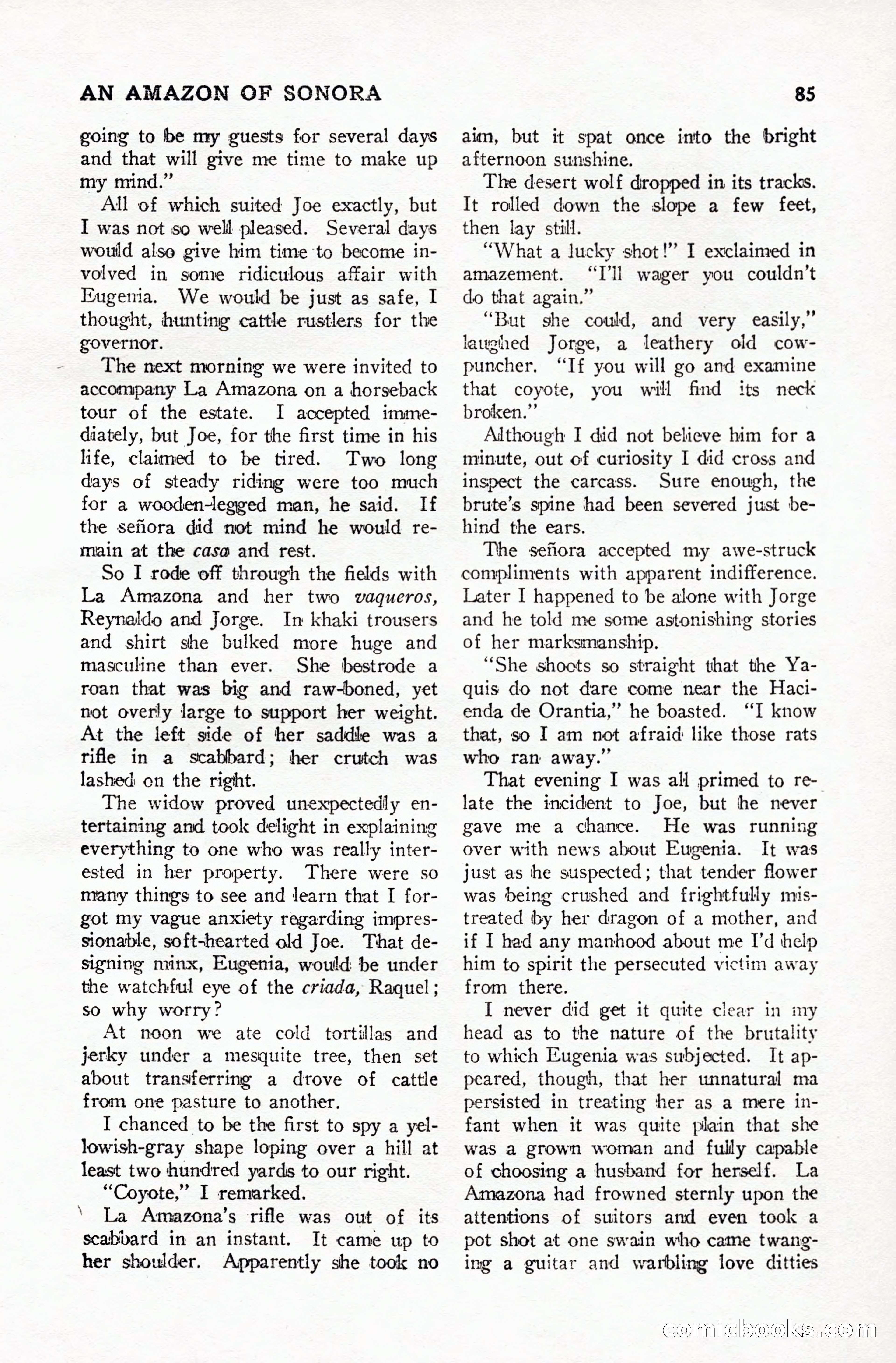The Popular Weekly, May 26, 1928 — page 87 of 148