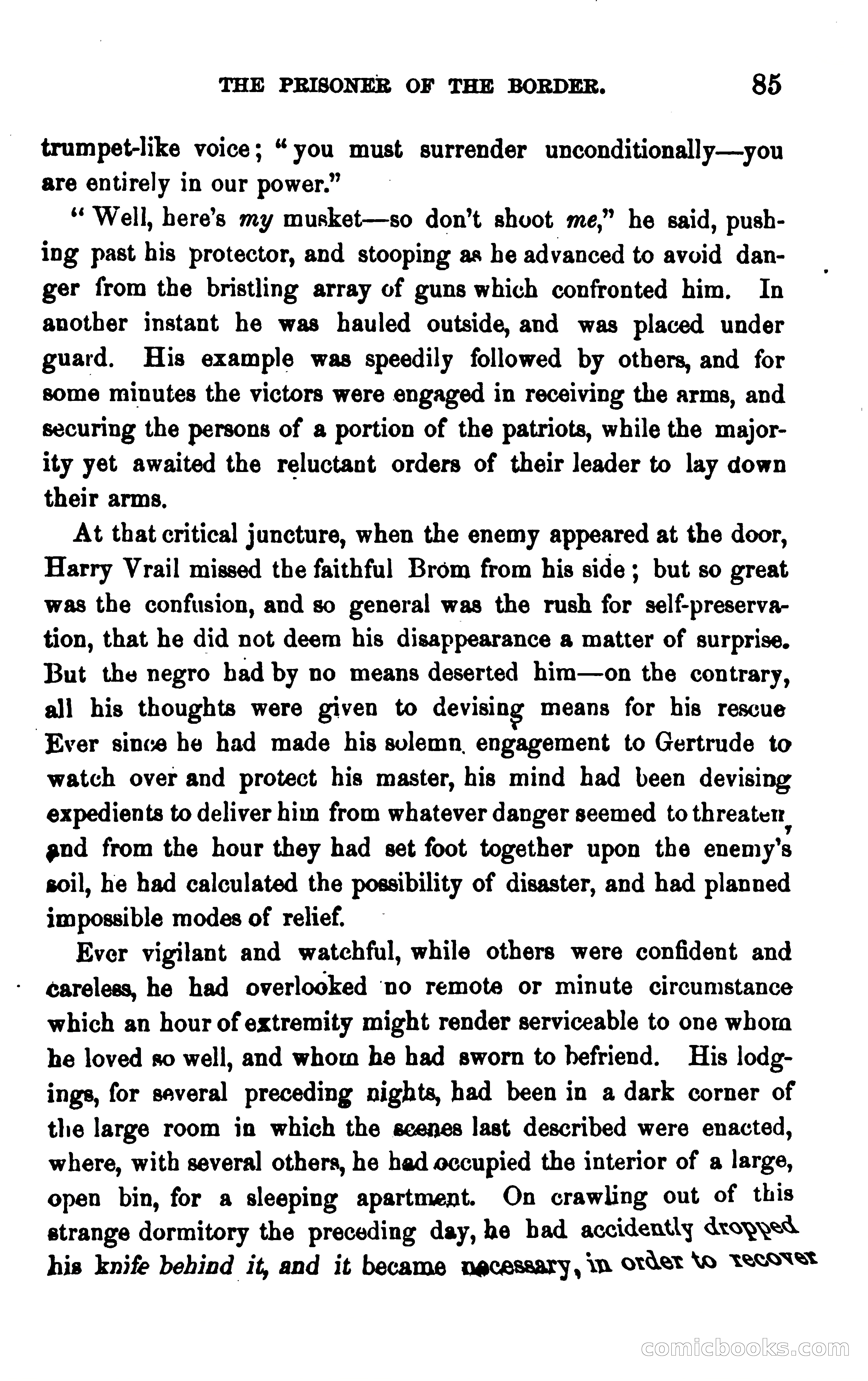 The Prisoner of the Border: A Tale of 1838 — page 96 of 394