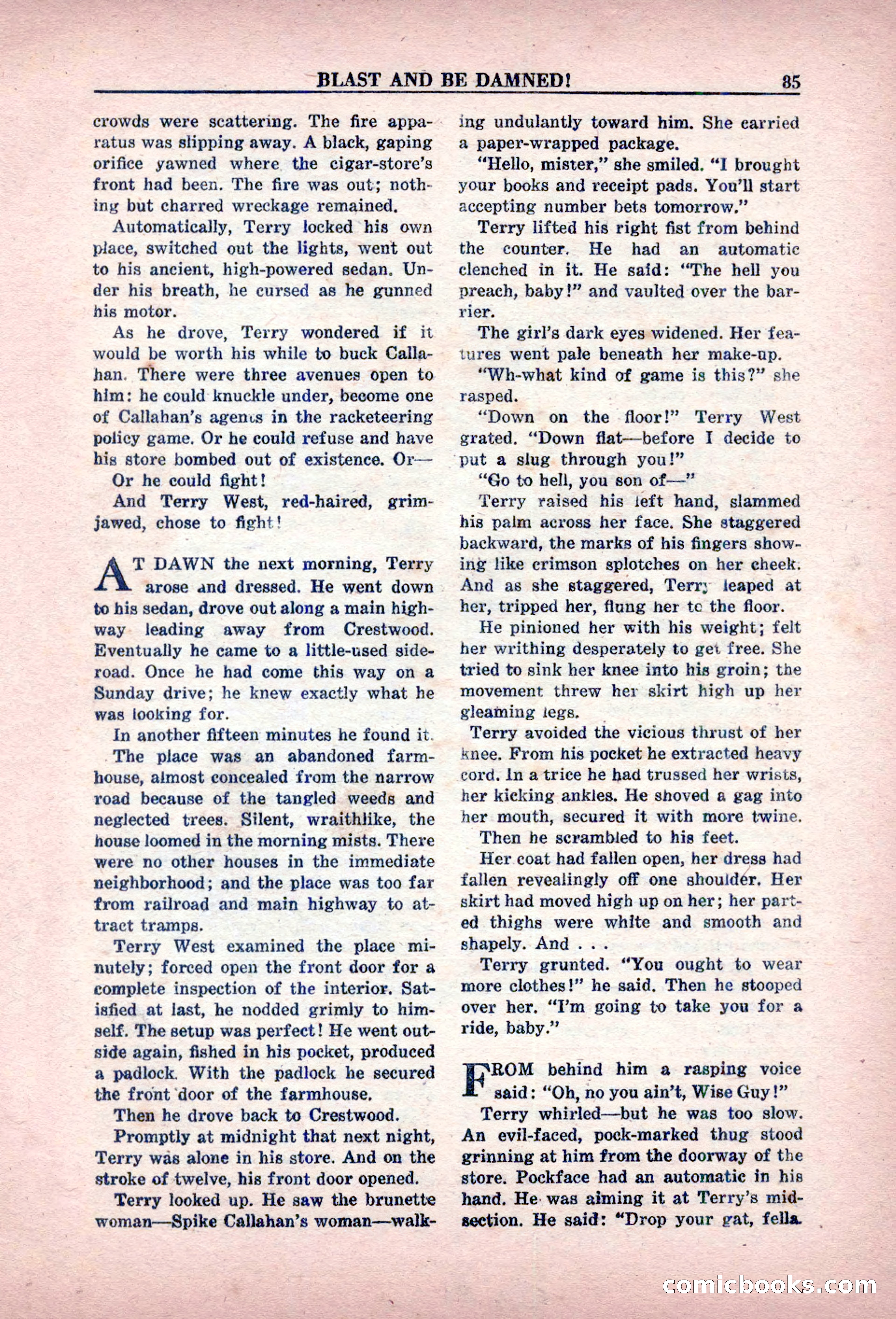 Private Detective Stories, February 1949 — page 85 of 132