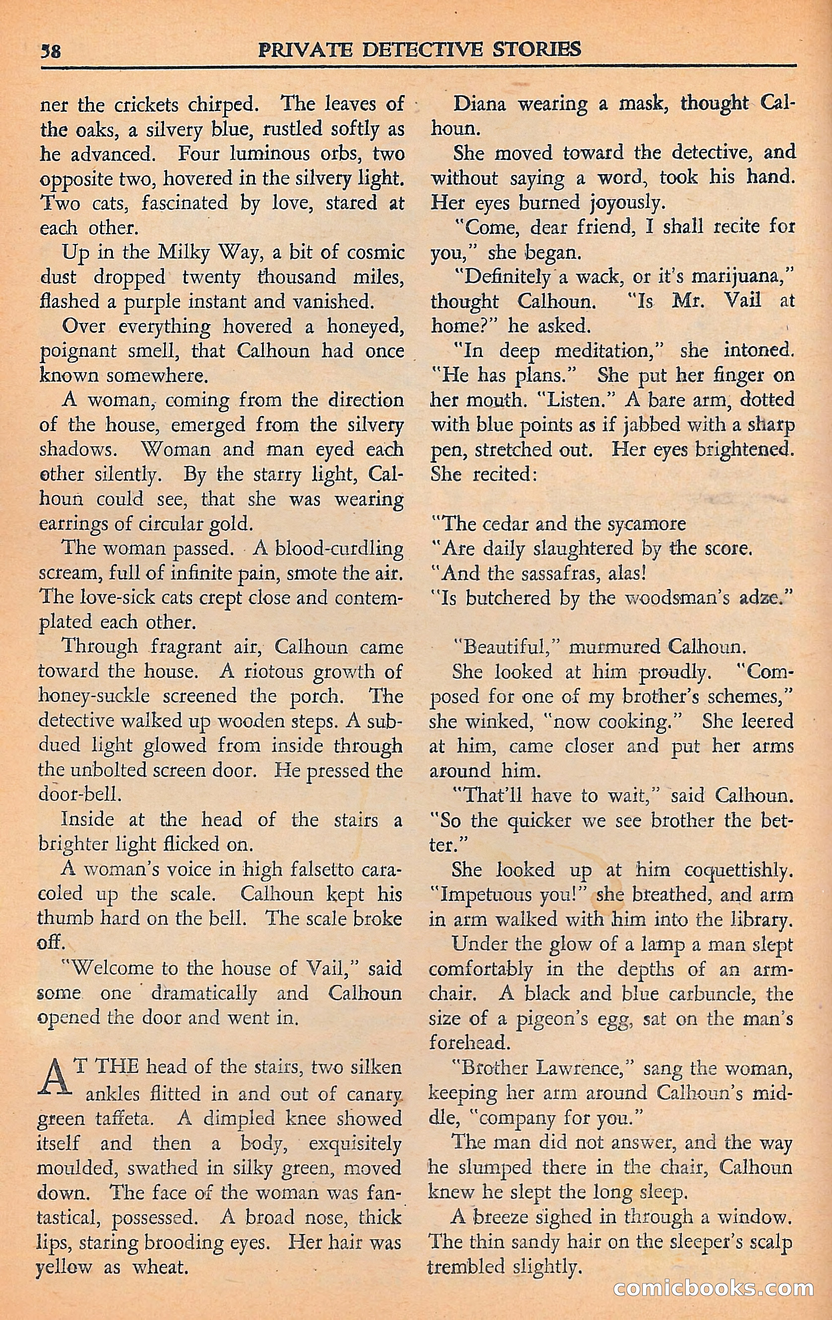 Private Detective Stories — page 60 of 116