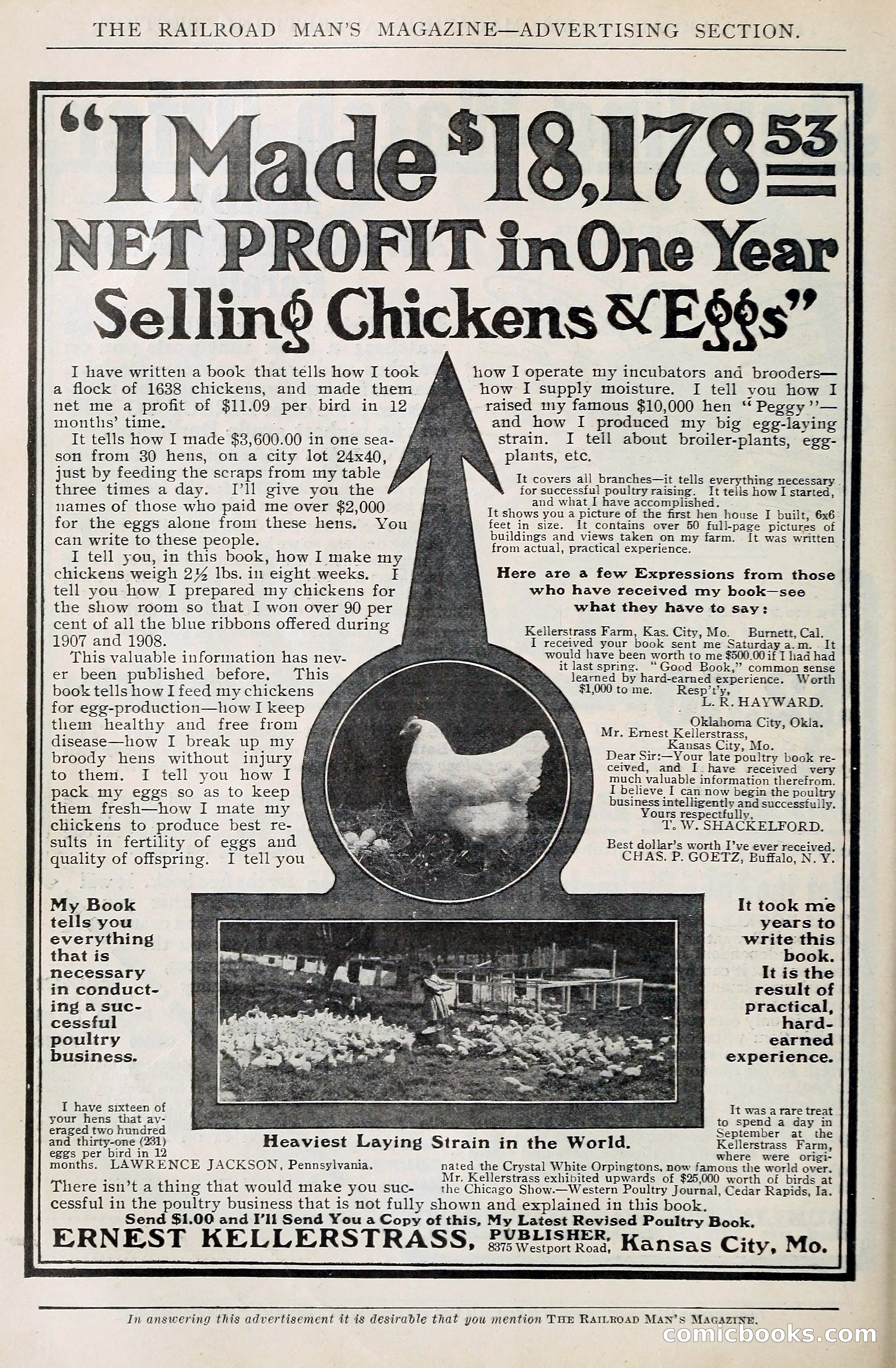 Railroad Man's Magazine — page 223 of 397