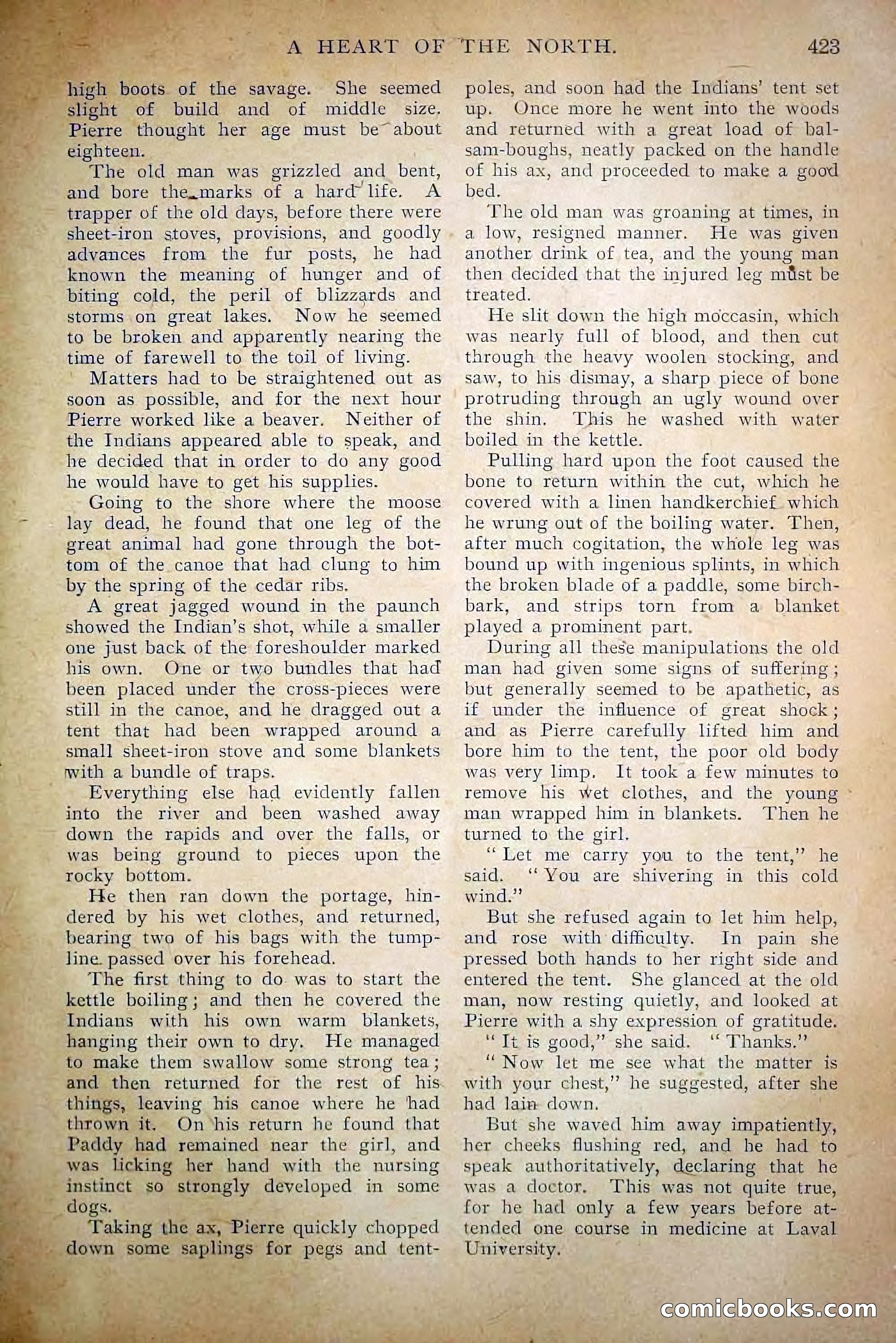 The Railroad Man's Magazine, April 1910 — page 49 of 232