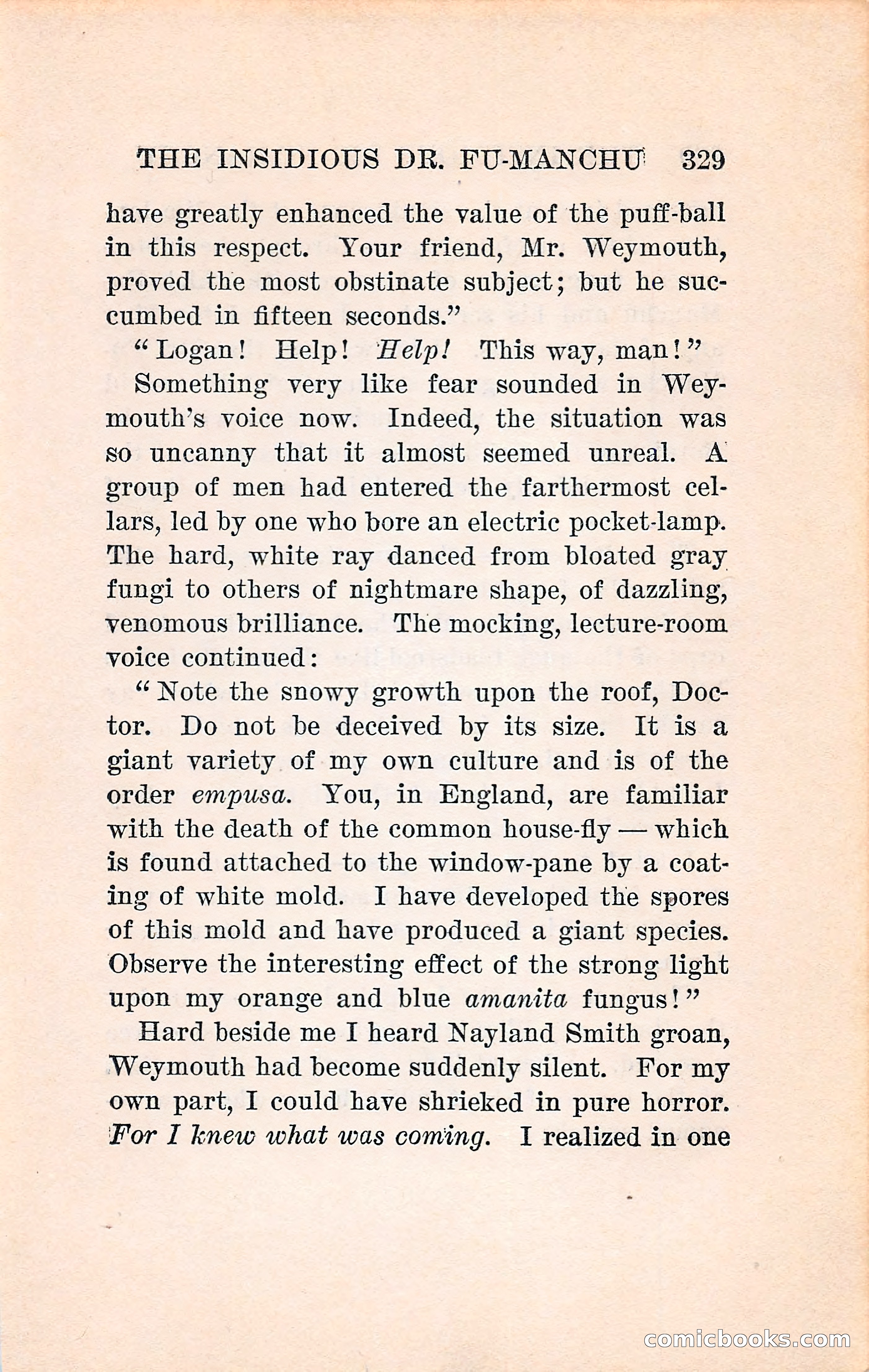 The Insidious Dr. Fu-Manchu — page 337 of 396