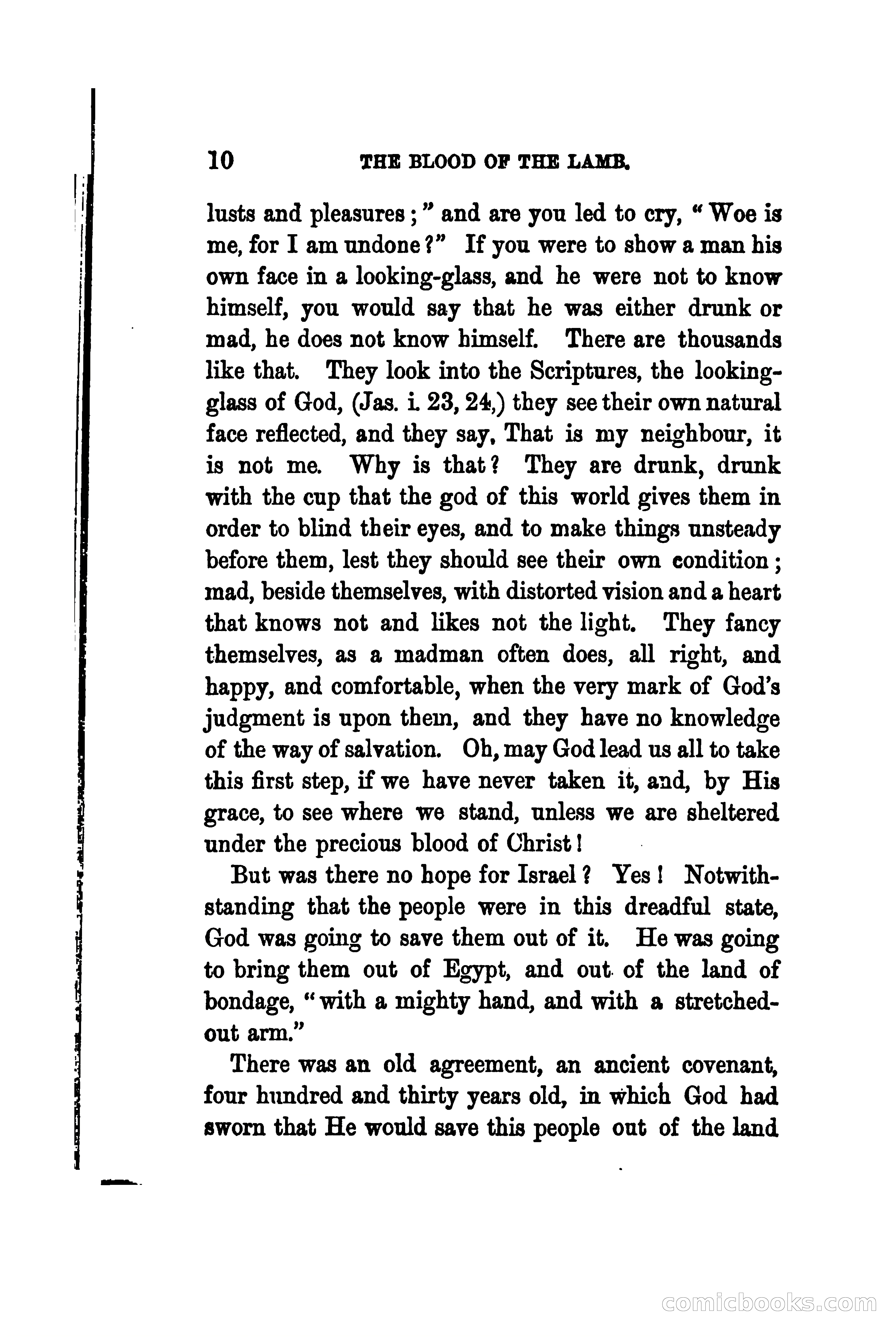 The Shadow and the Substance: Addresses on the Passover — page 23 of 224