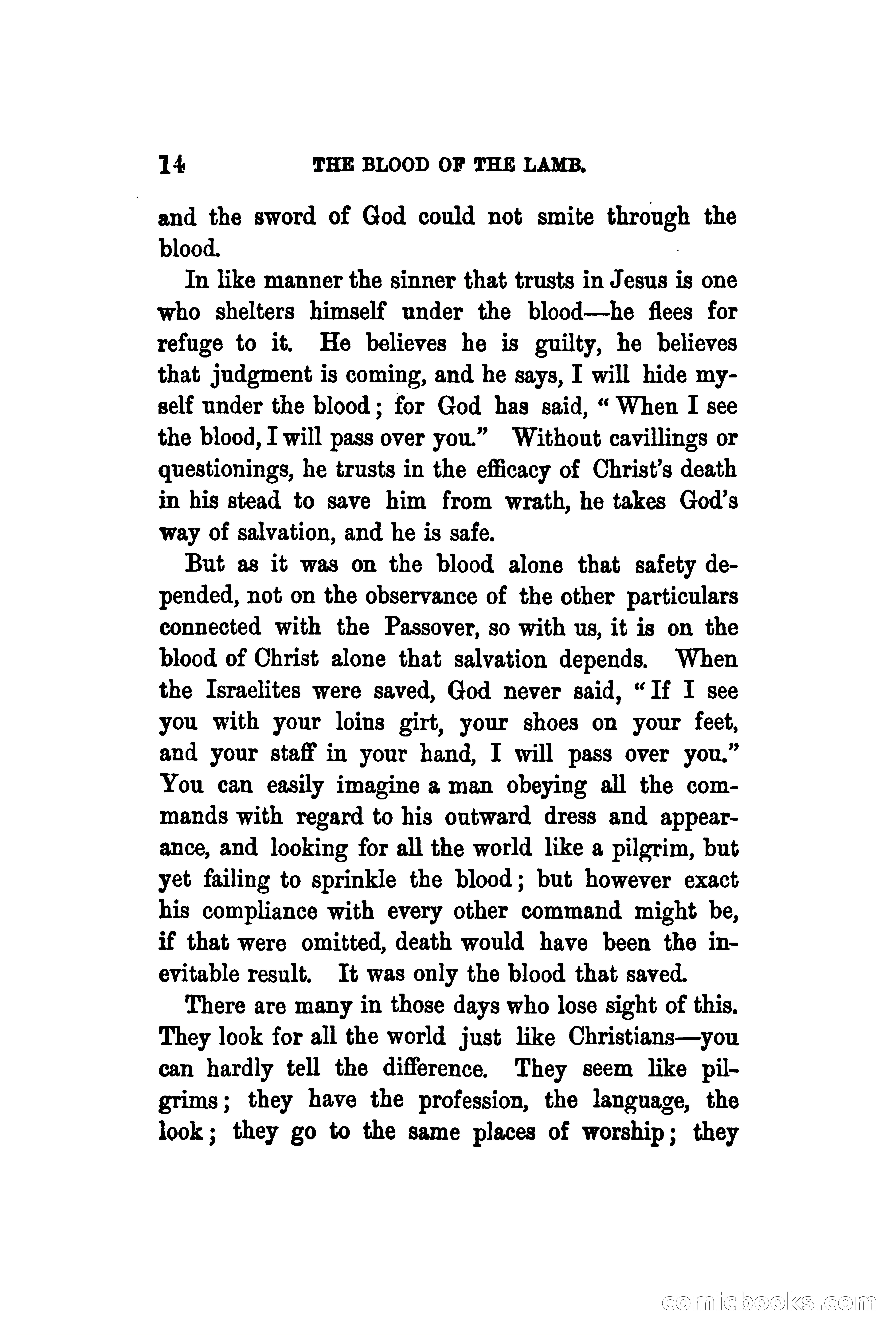 The Shadow and the Substance: Addresses on the Passover — page 27 of 224