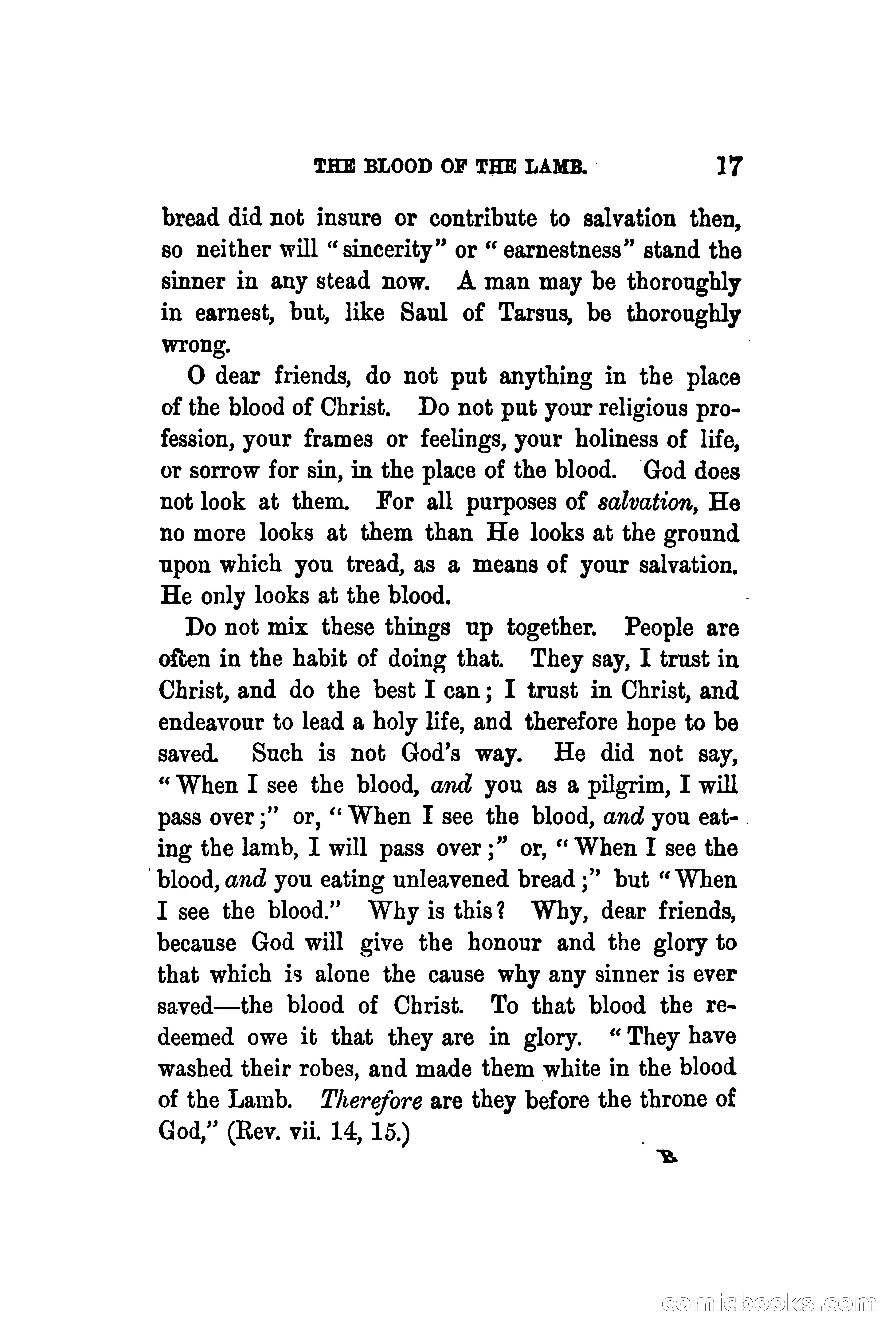 The Shadow and the Substance: Addresses on the Passover — page 30 of 224