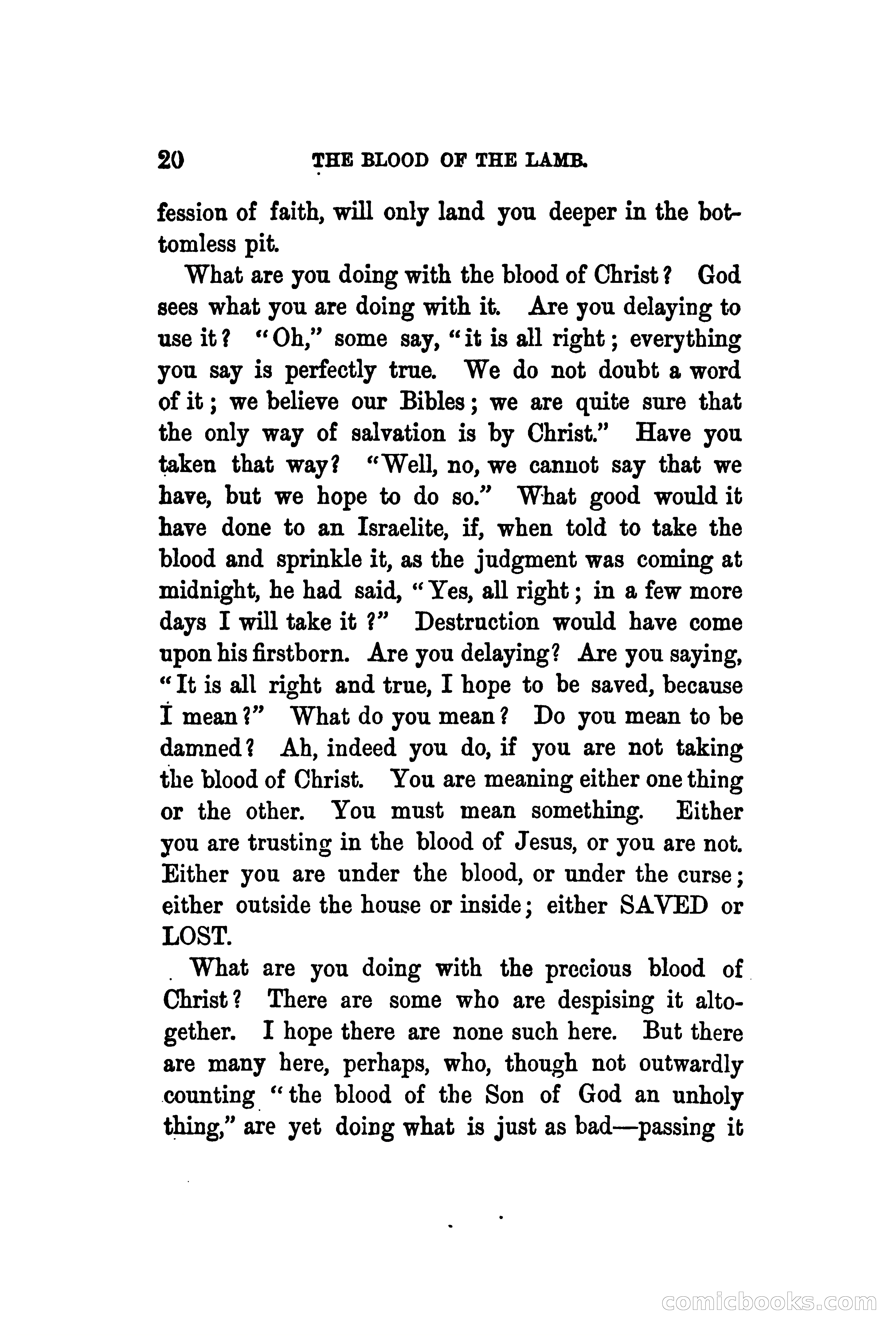 The Shadow and the Substance: Addresses on the Passover — page 33 of 224