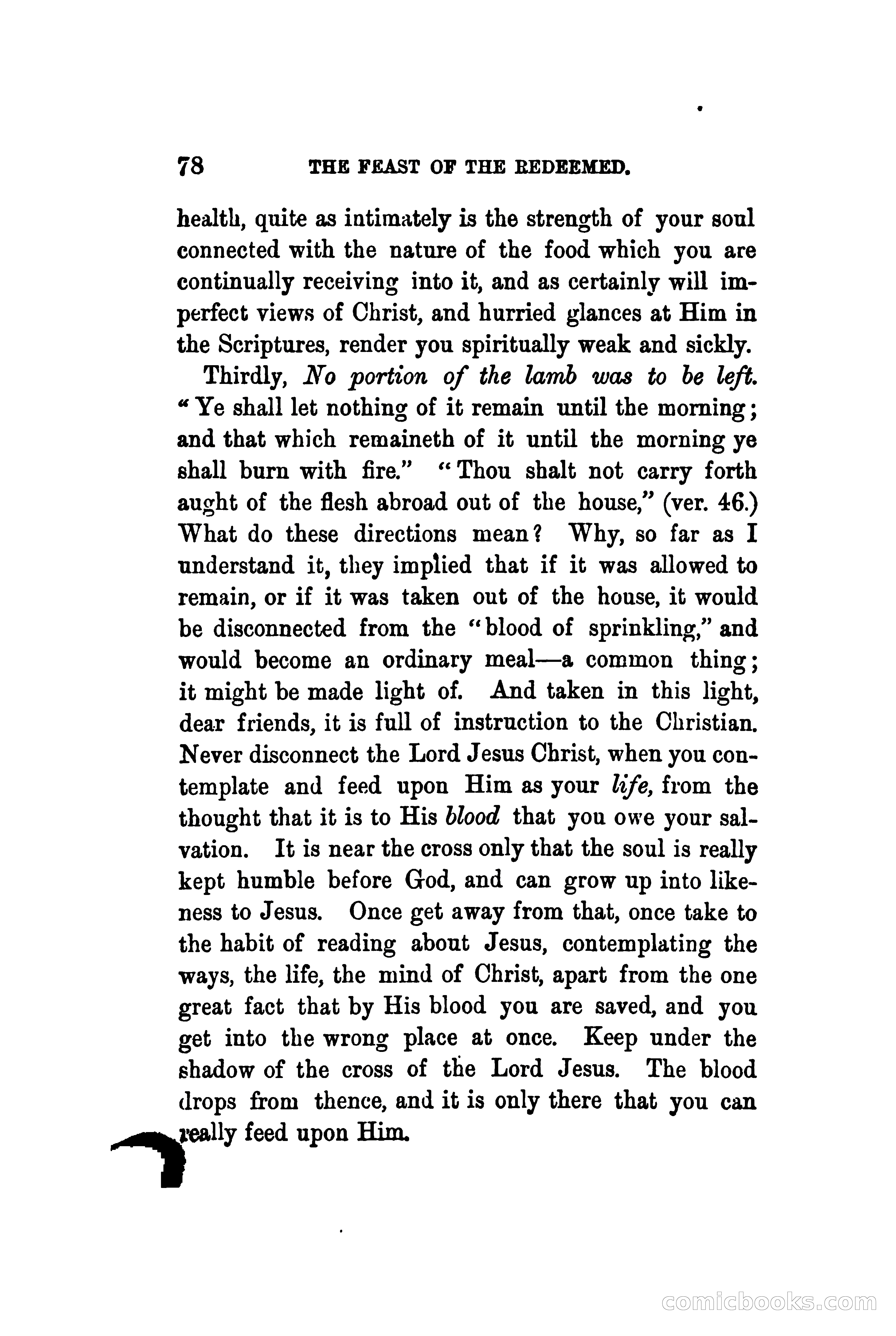 The Shadow and the Substance: Addresses on the Passover — page 91 of 224