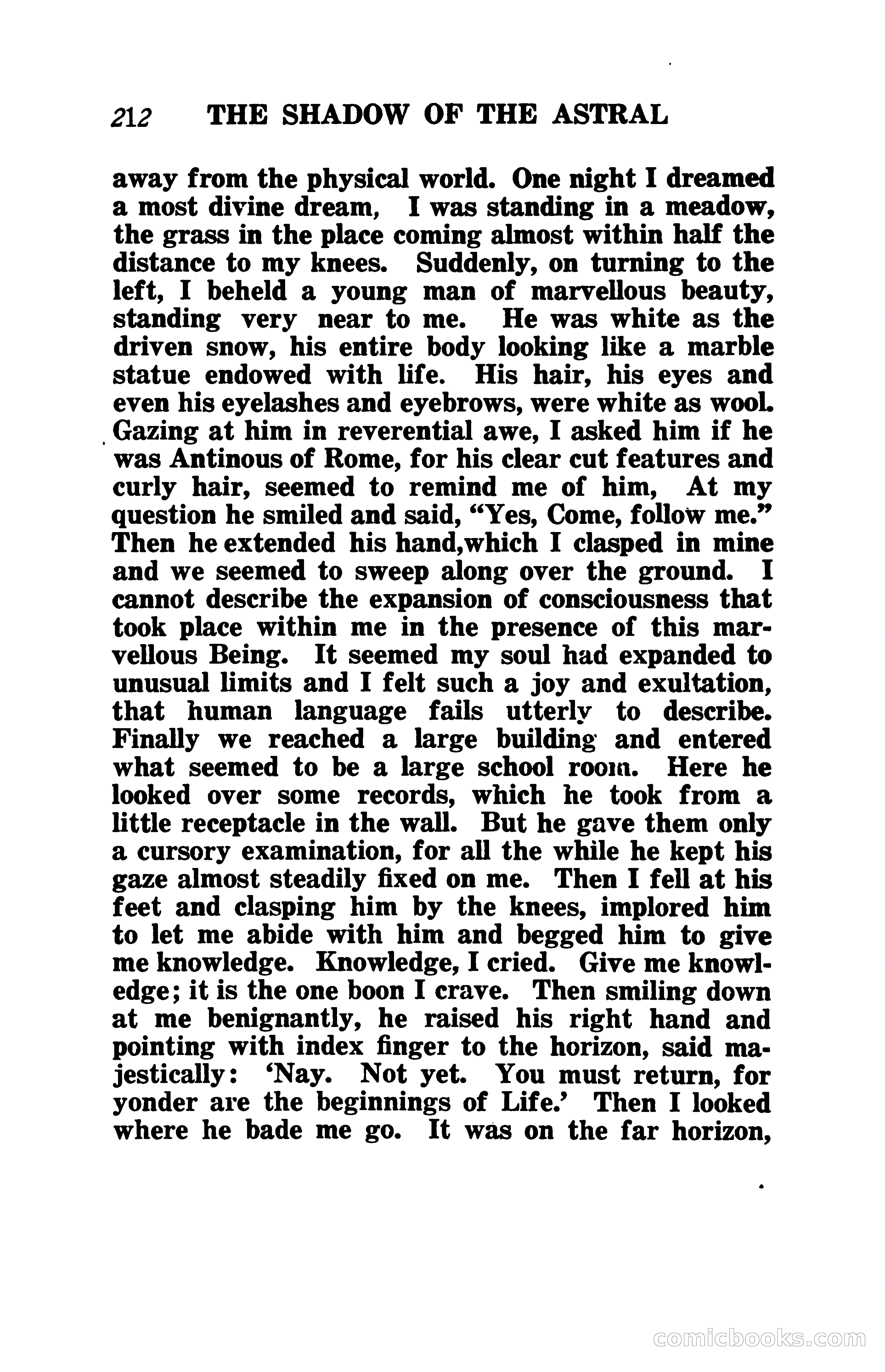 The Shadow of the Astral: A Mystic Narrative — page 219 of 344