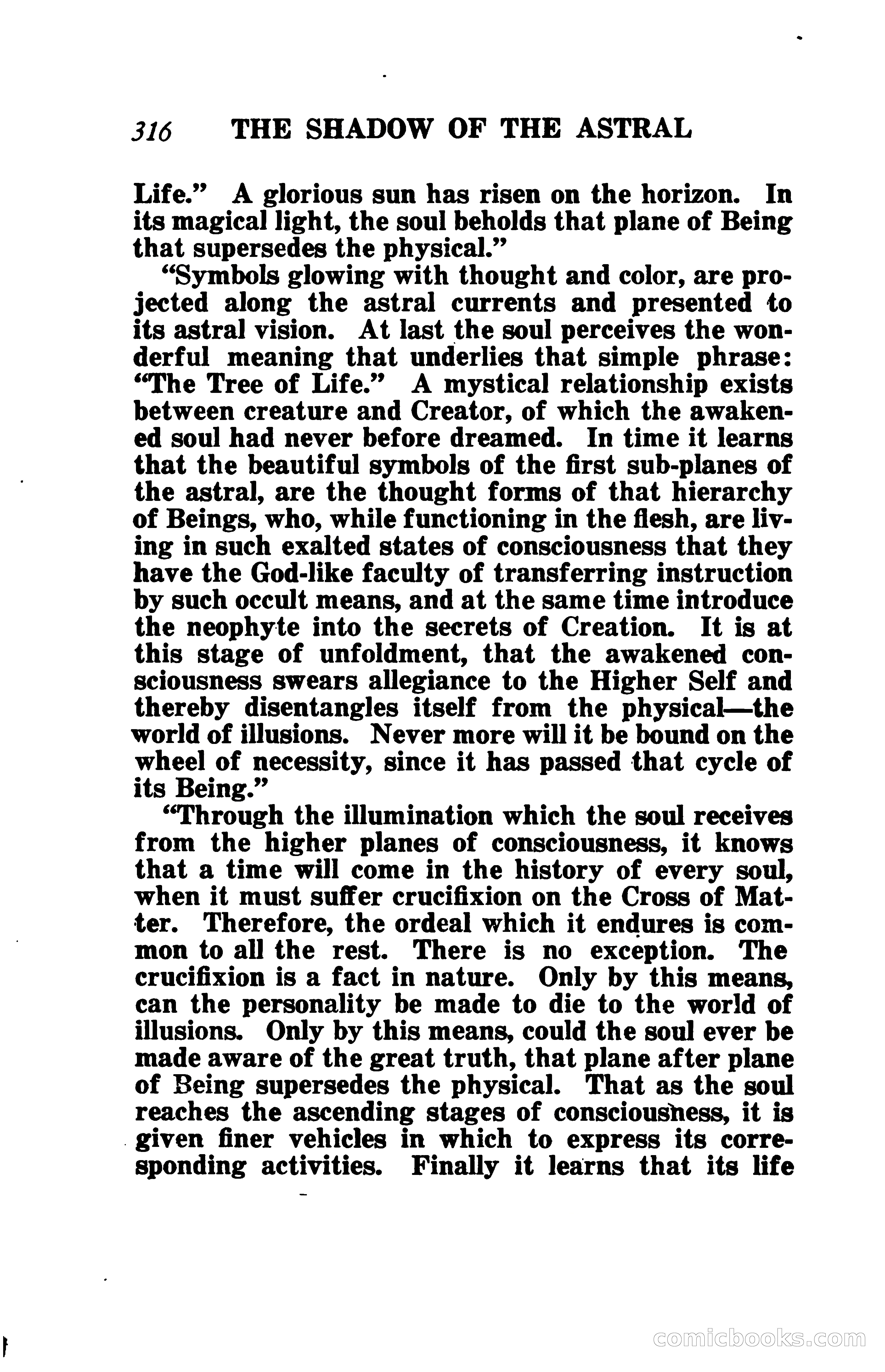 The Shadow of the Astral: A Mystic Narrative — page 323 of 344