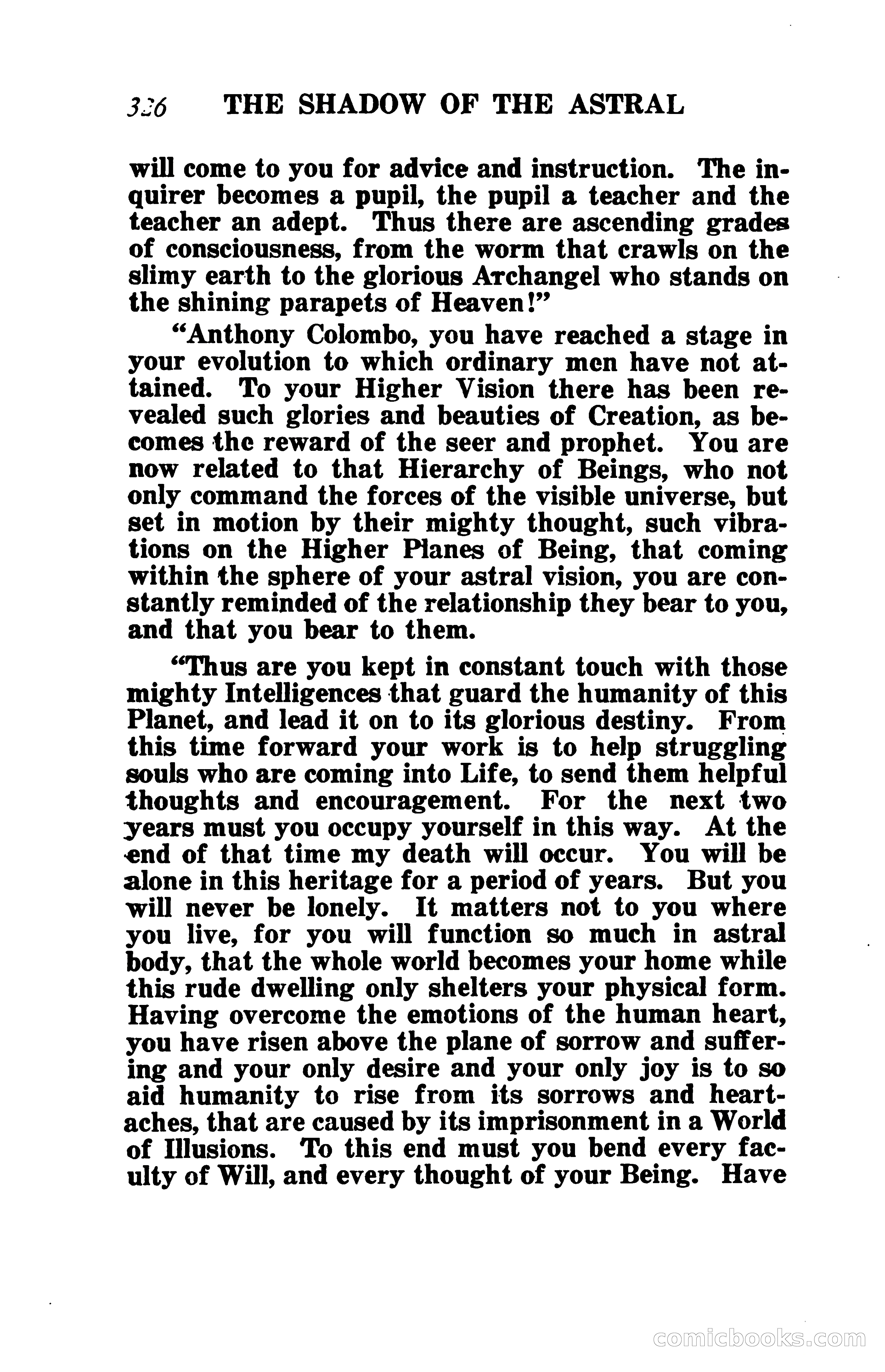 The Shadow of the Astral: A Mystic Narrative — page 333 of 344