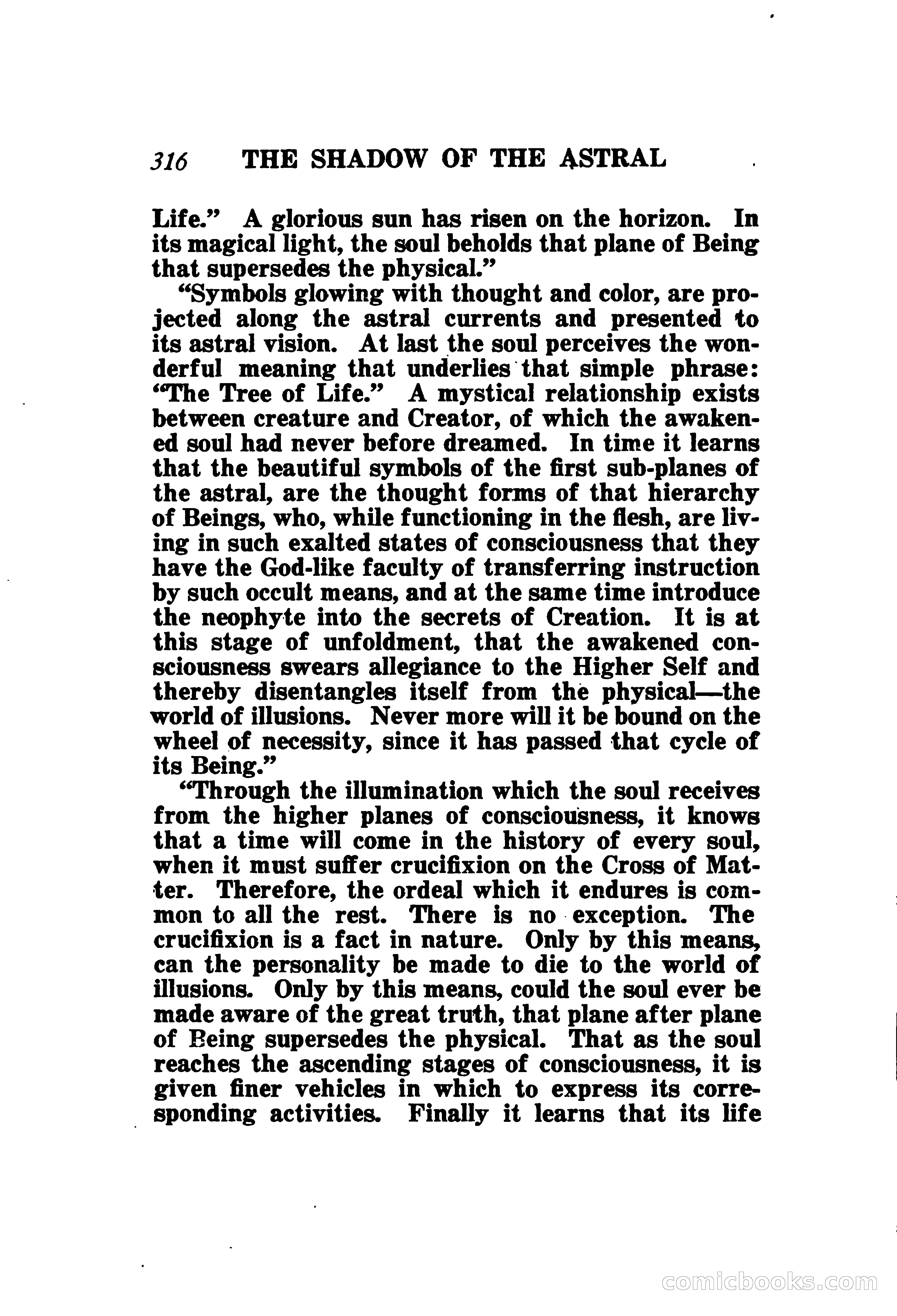 The Shadow of the Astral — page 319 of 335