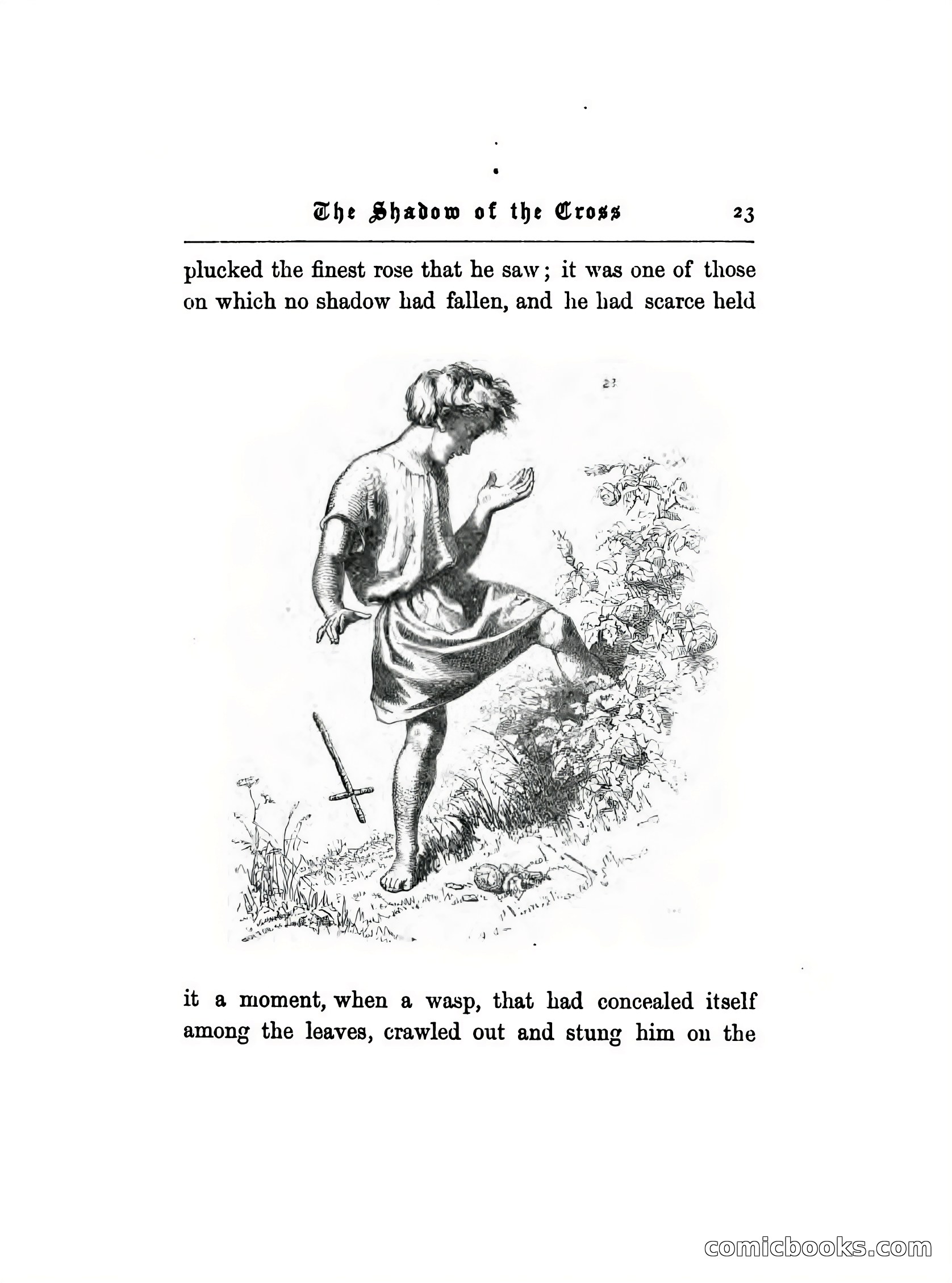 The Shadow of the Cross: An Allegory — page 30 of 94