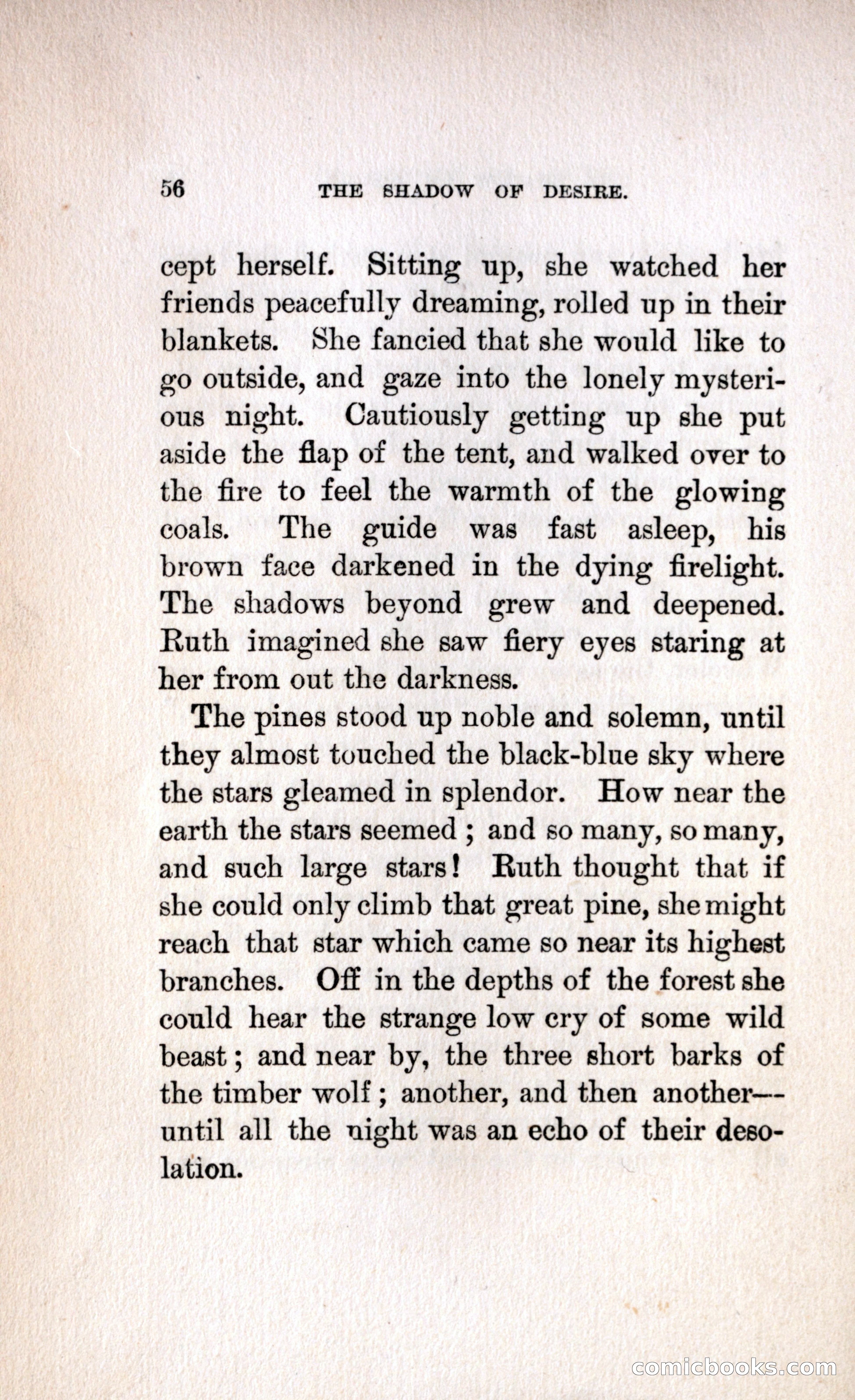The Shadow of Desire — page 62 of 300