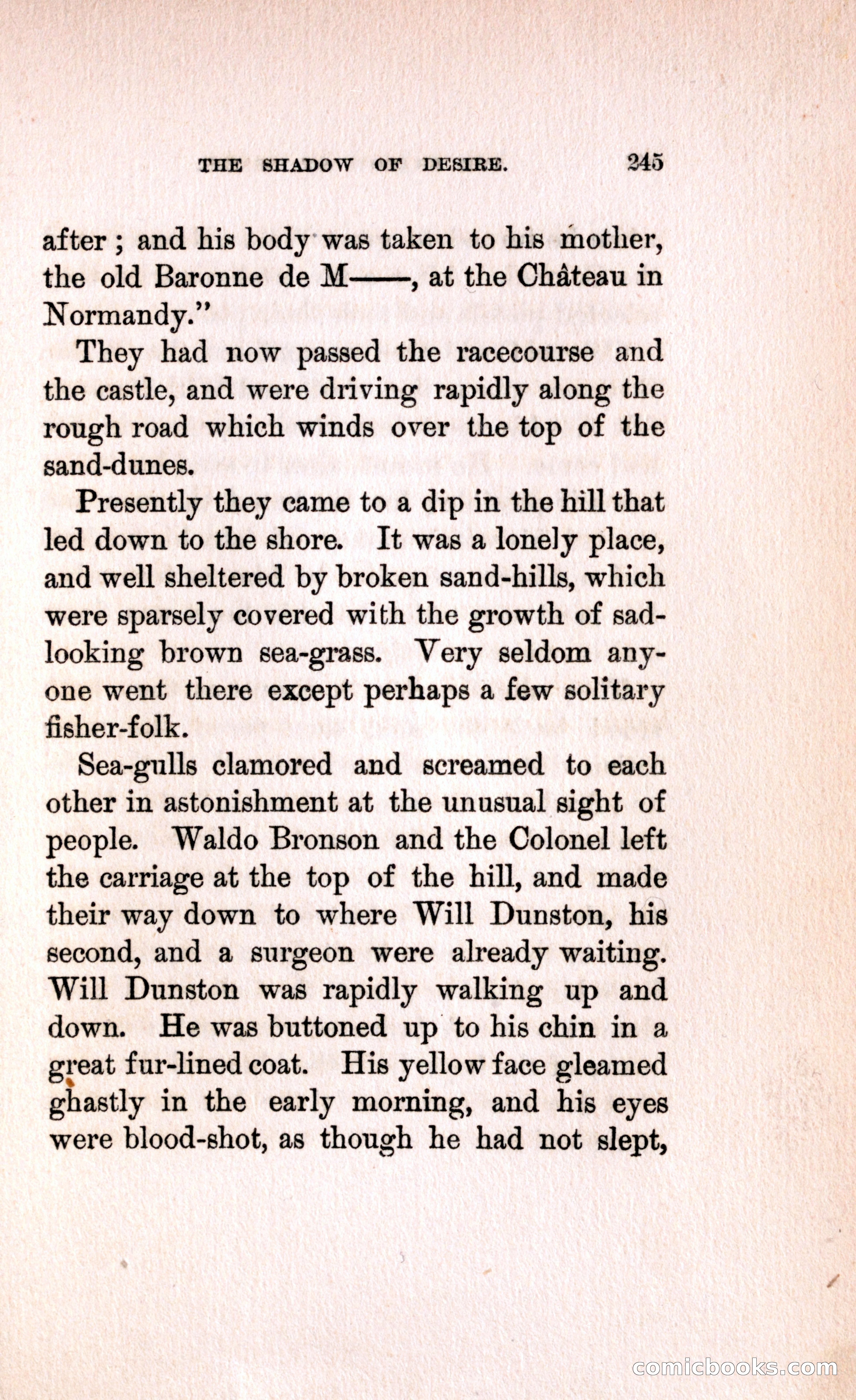The Shadow of Desire — page 251 of 300
