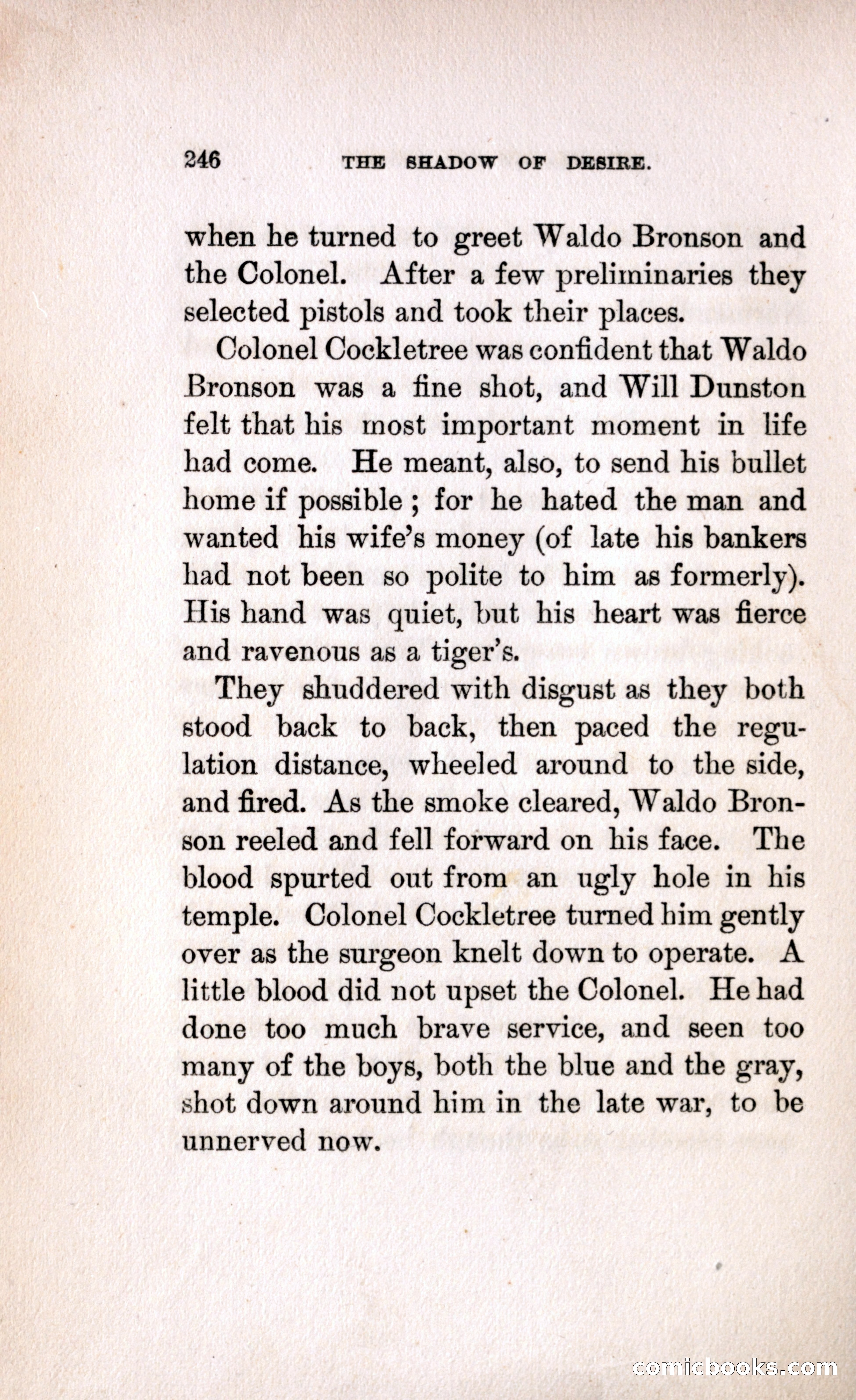 The Shadow of Desire — page 252 of 300