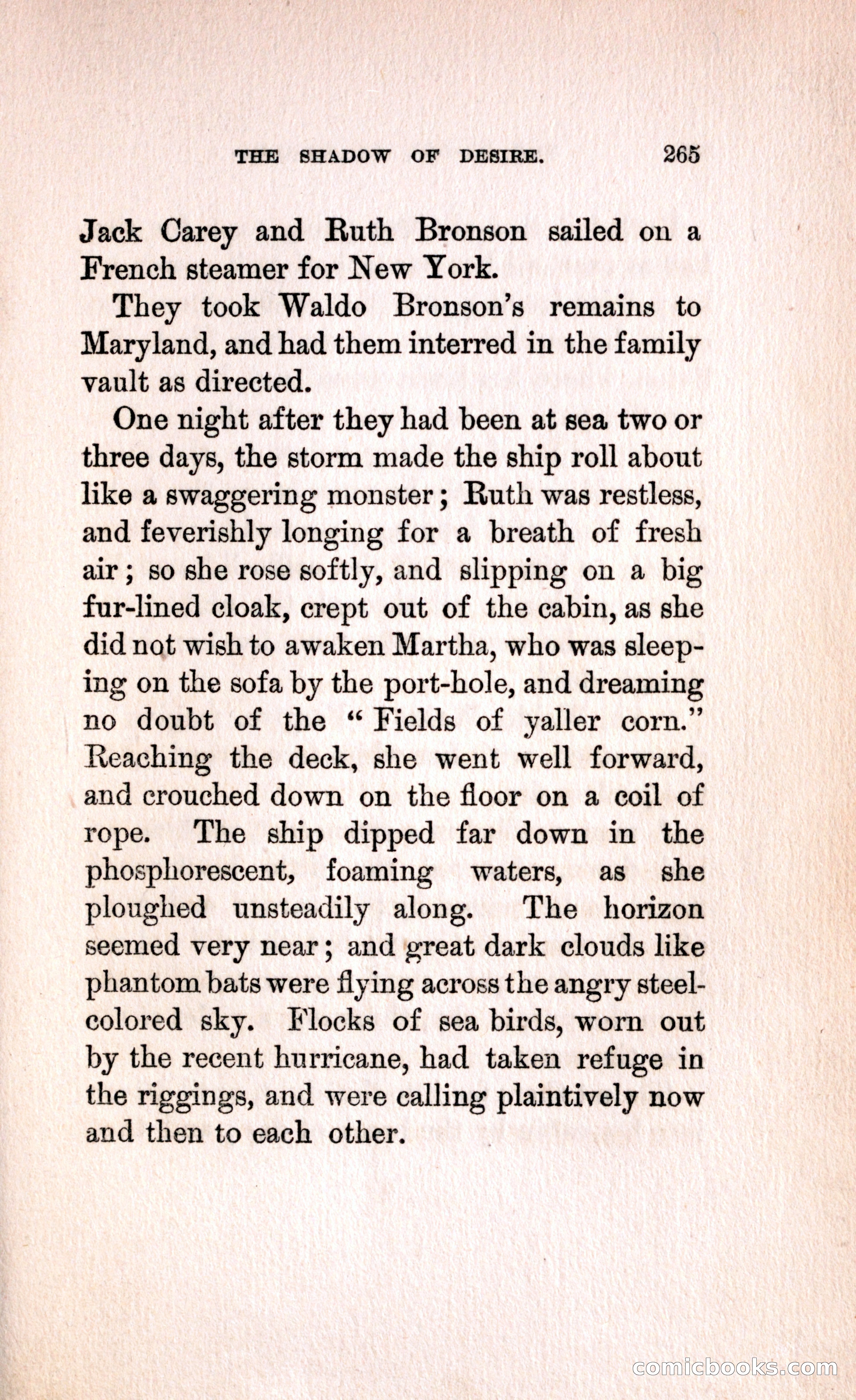 The Shadow of Desire — page 271 of 300
