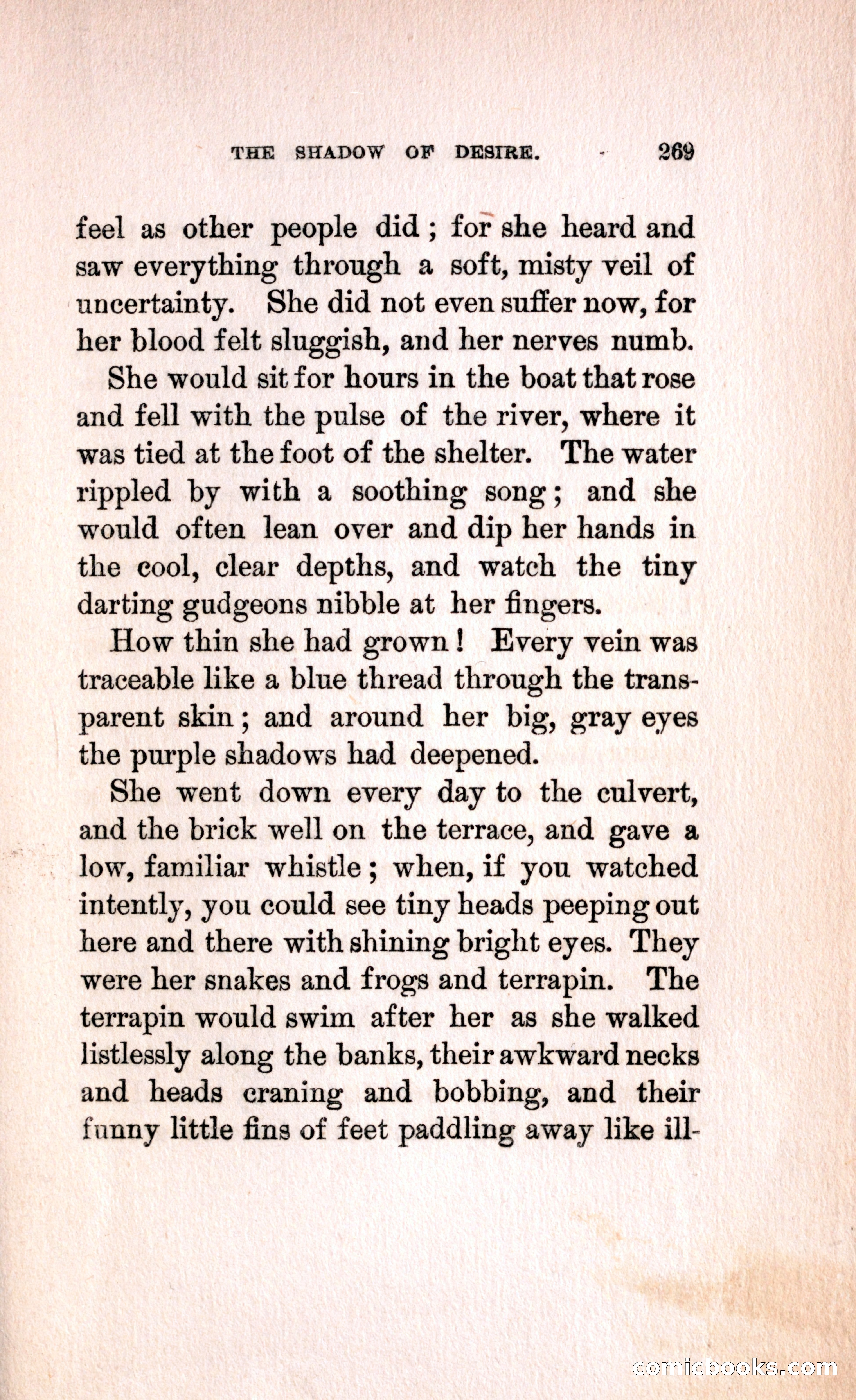 The Shadow of Desire — page 275 of 300